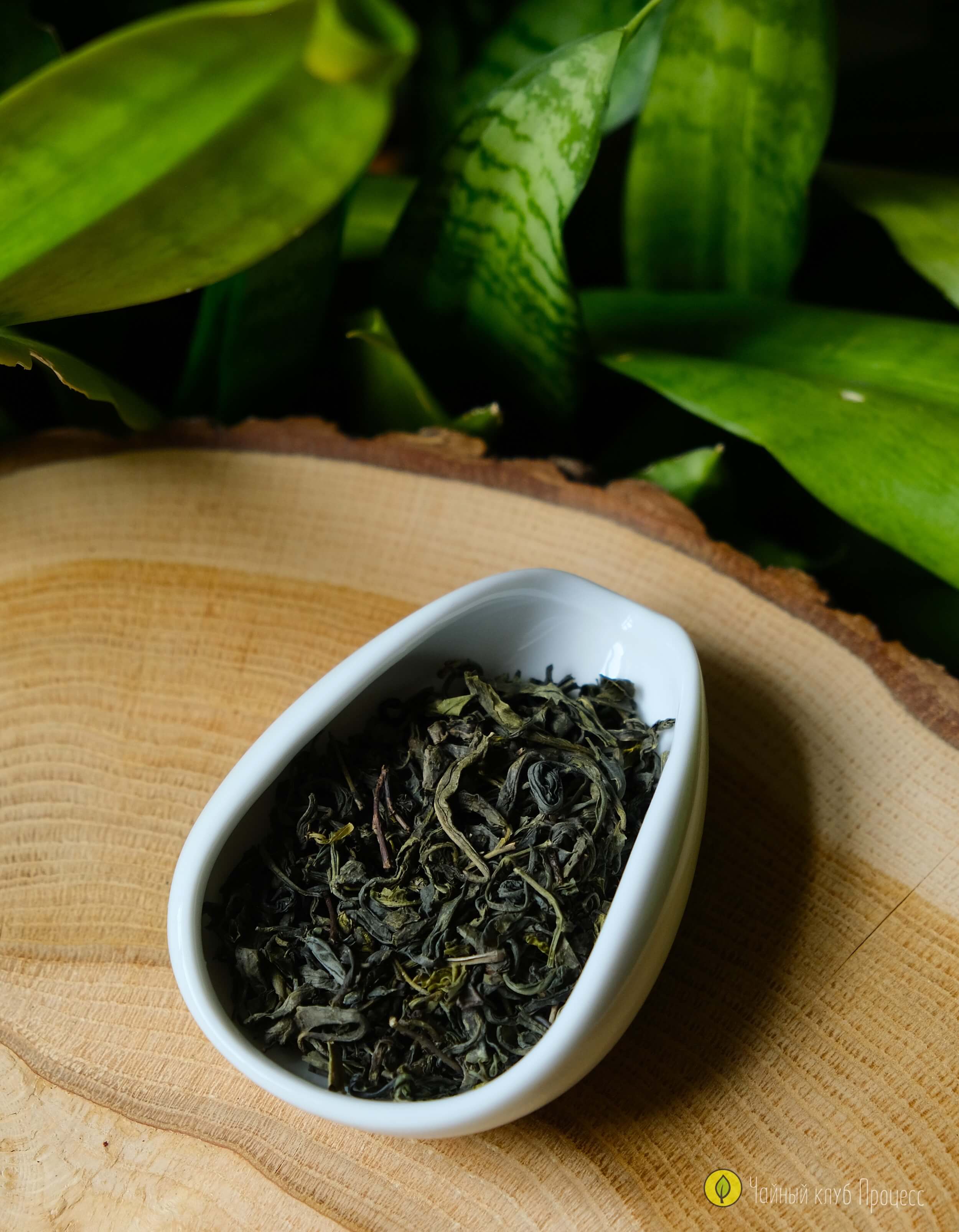 Чжэцзянь Е Шен Люй Ча