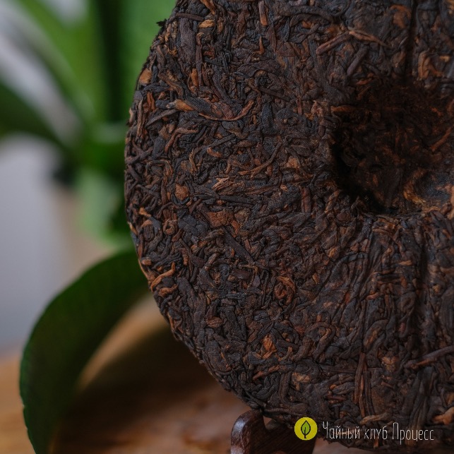 Черные пуэры (Шу)