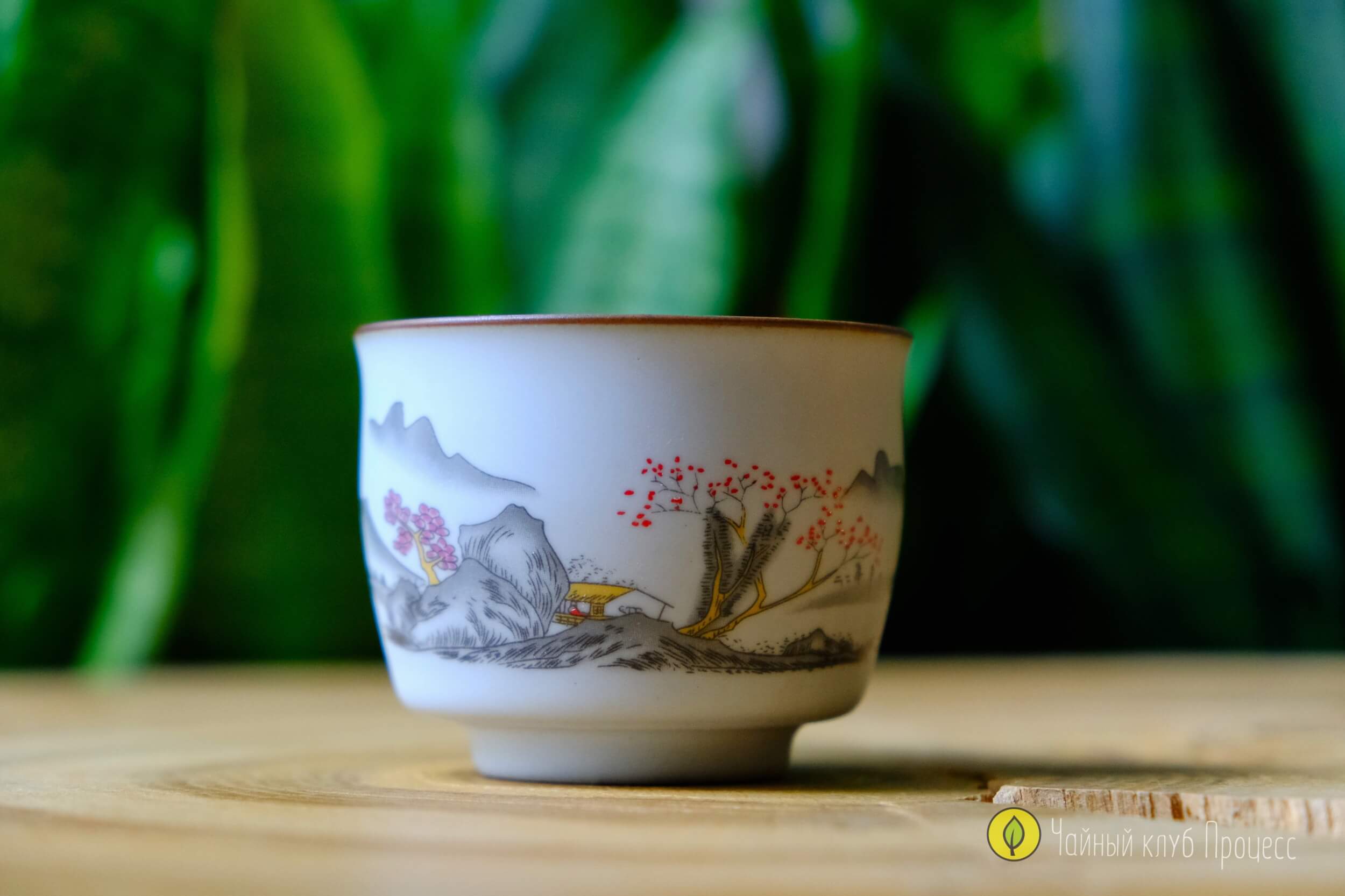 Пиала «Горный домик», 100 мл