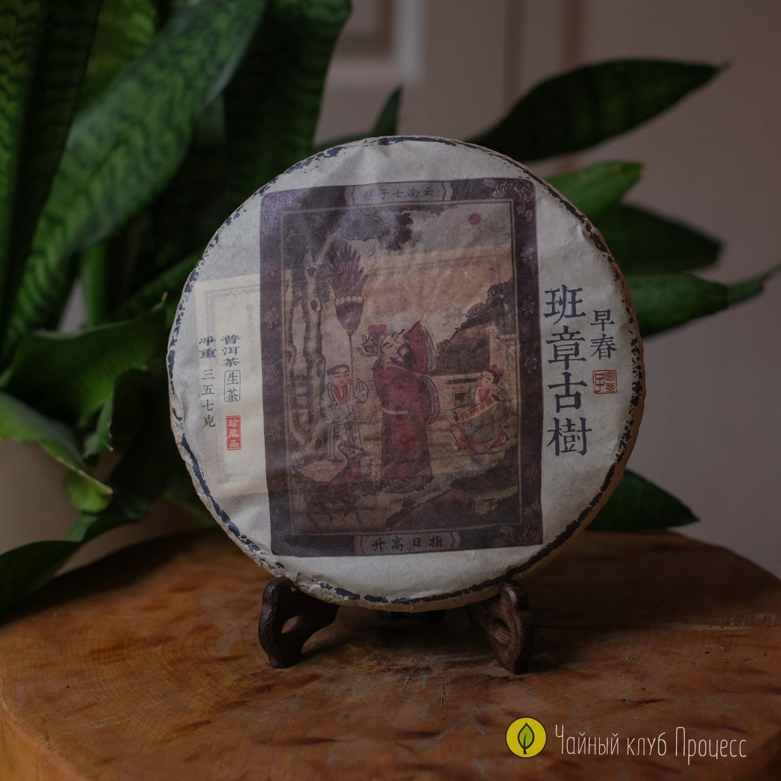 Шэн Пуэр Банчжан Гу Шу 2015 года