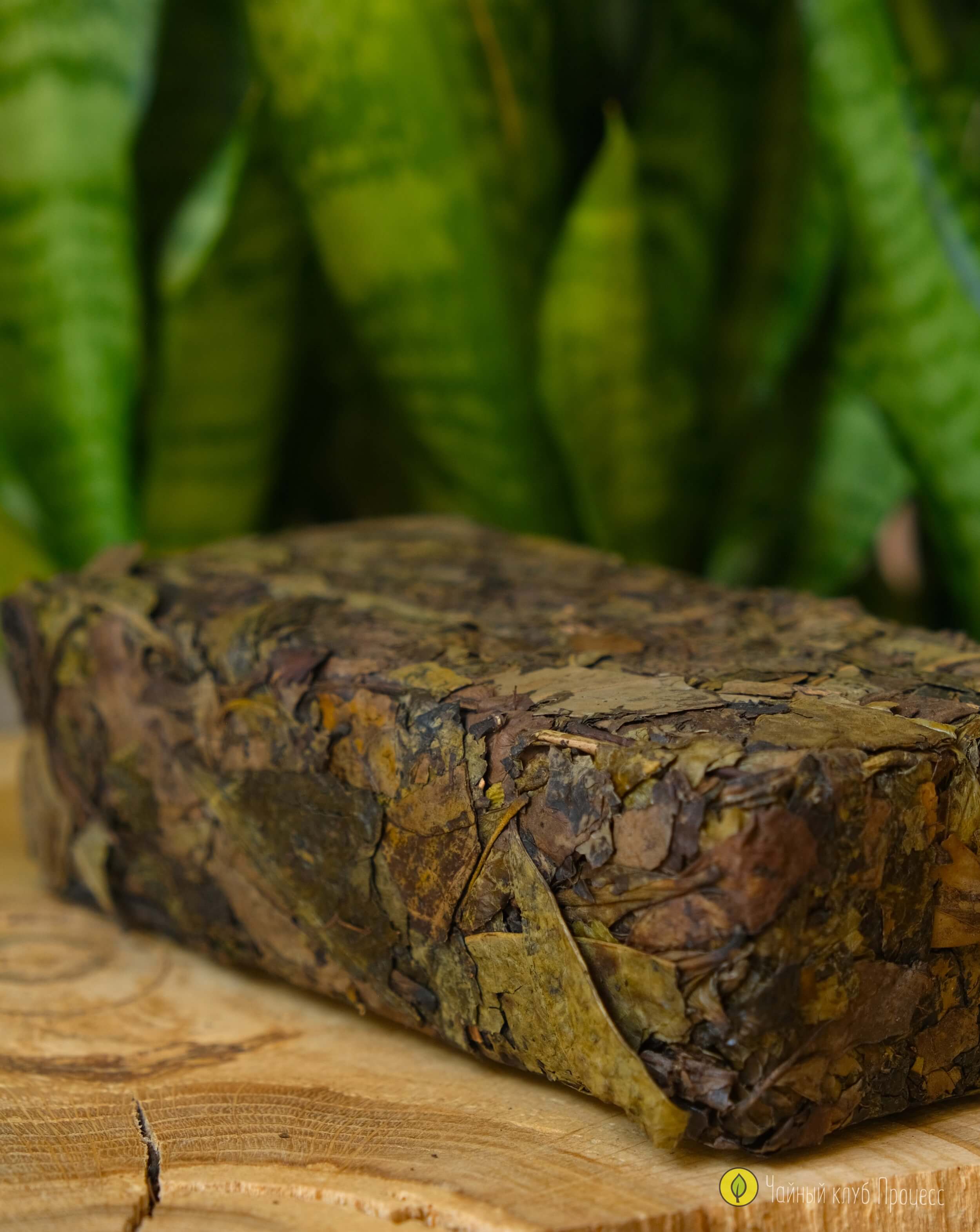 Хэй Ча «Цзинь Хуа» / Фу Ча с золотым цветком 2015 года