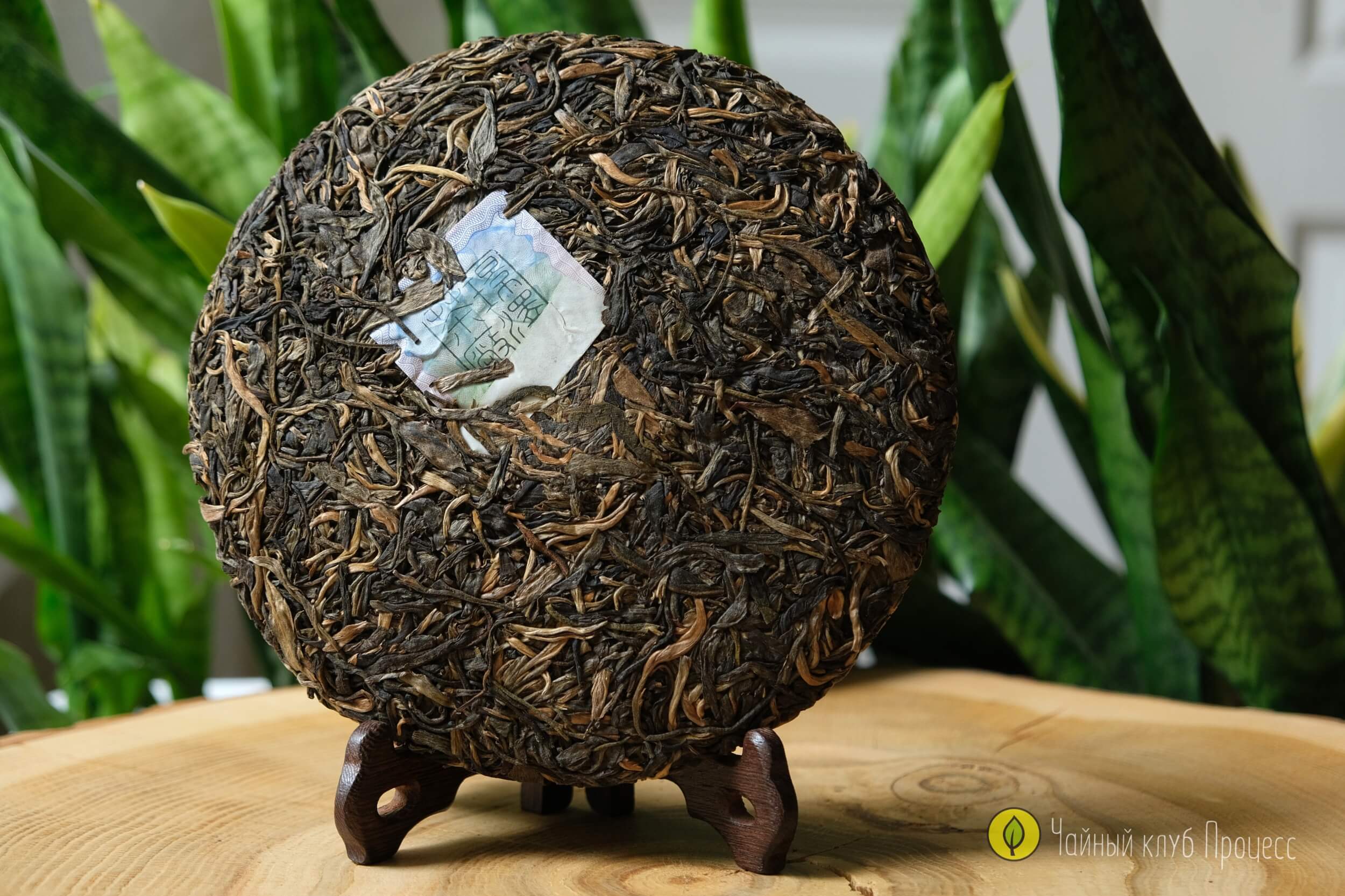 Шэн пуэр “Биндао Чунь Цзянь"