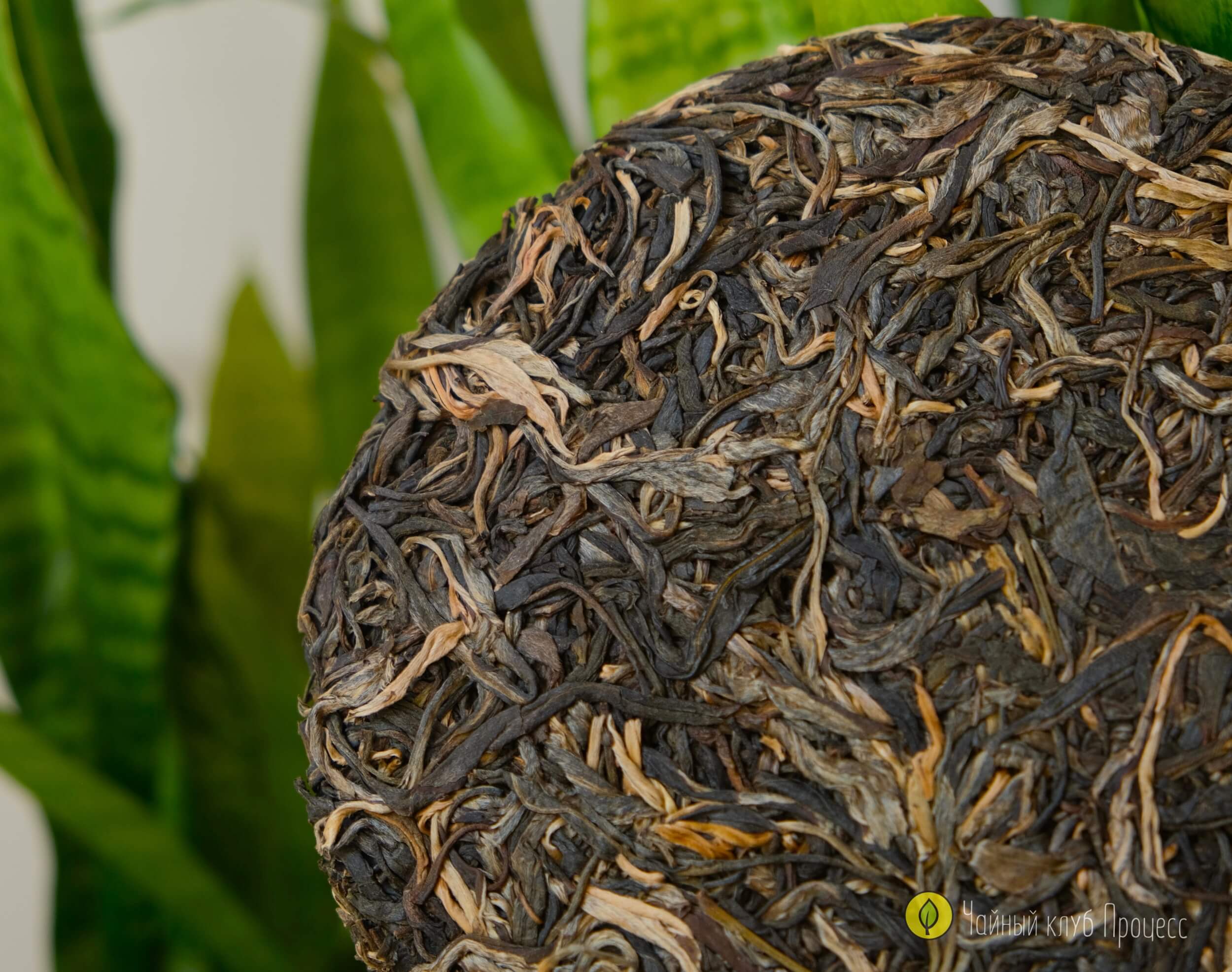 Шэн пуэр Лао Ман Э 2021 года