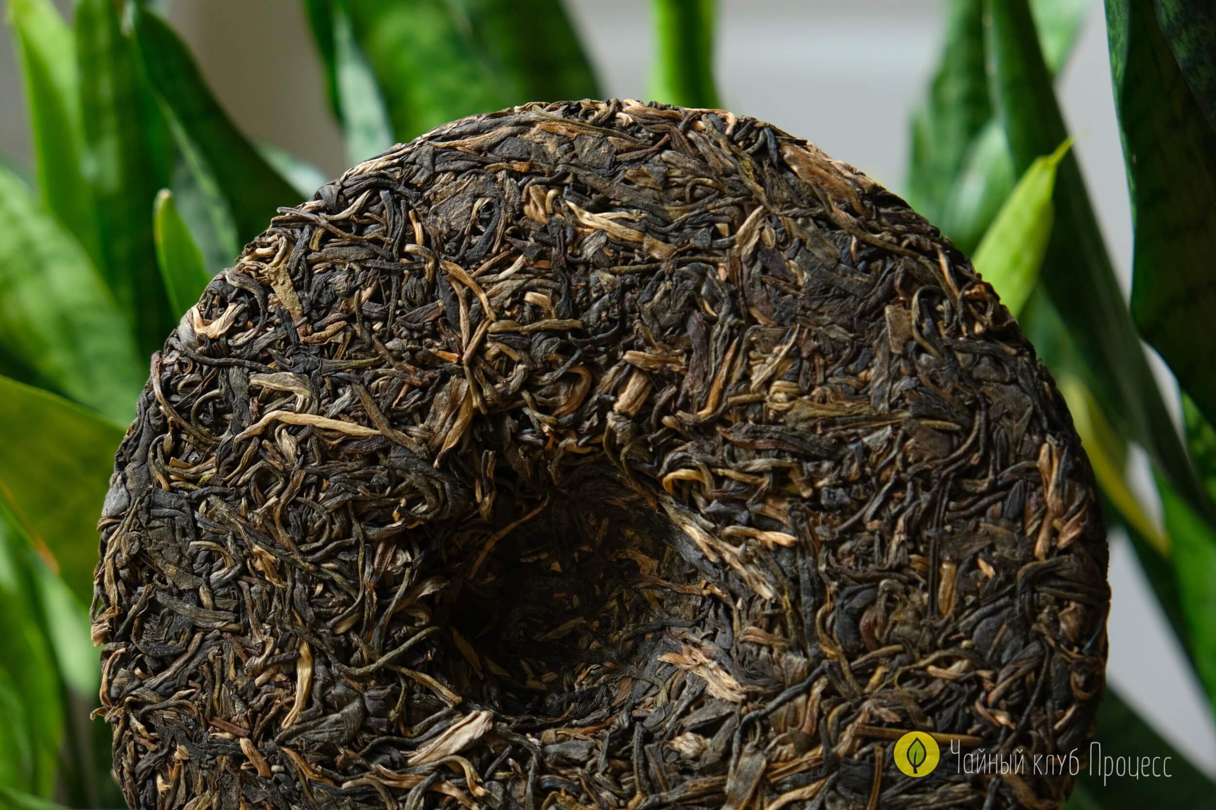 Шэн пуэр “Биндао Чунь Цзянь"