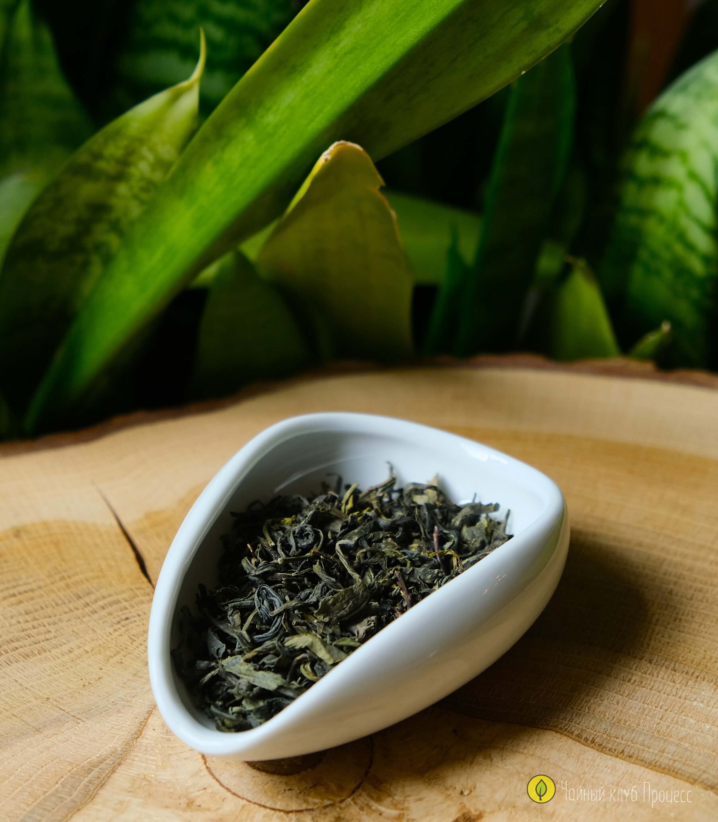 Чжэцзянь Е Шен Люй Ча