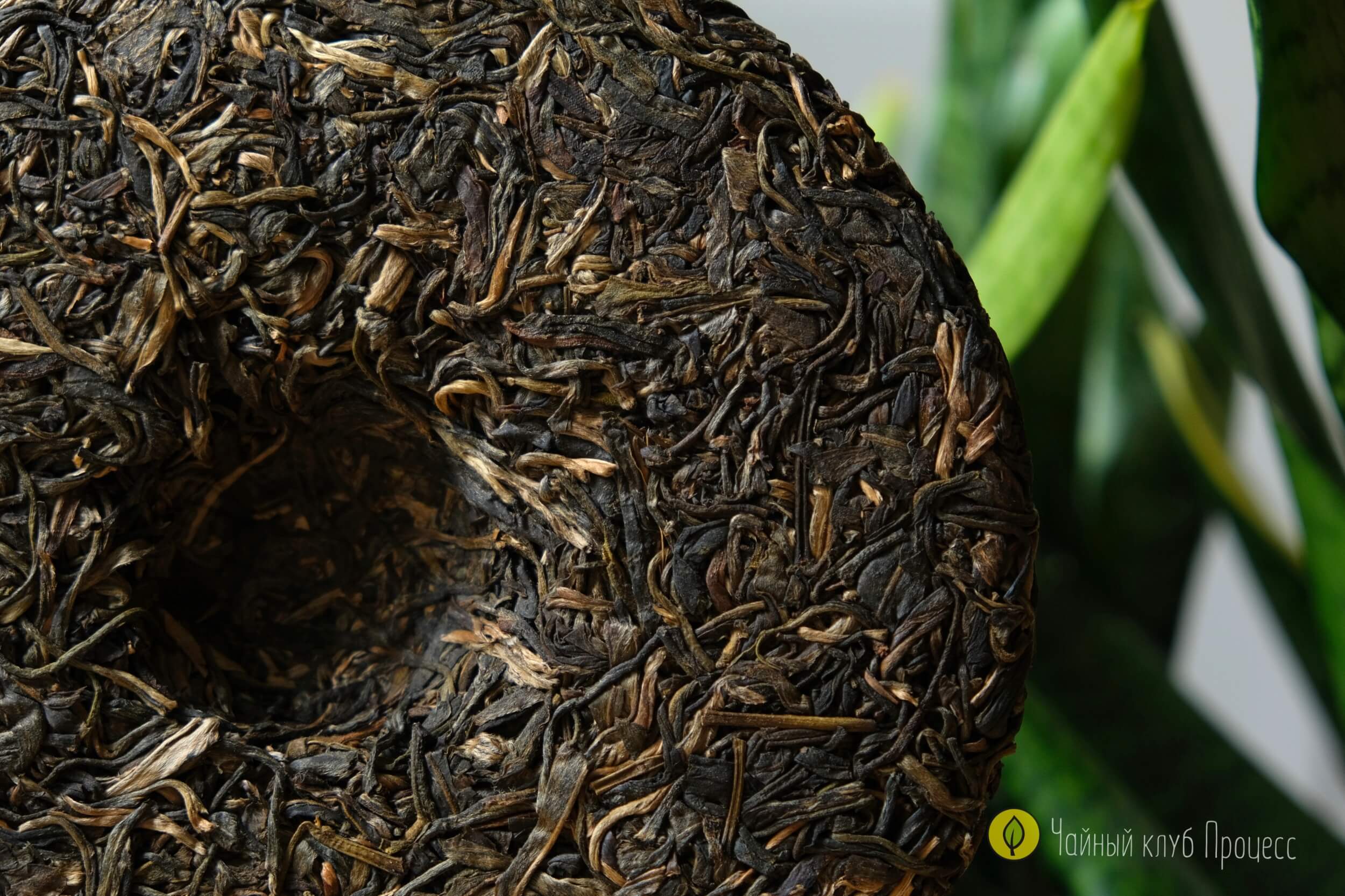 Шэн пуэр “Биндао Чунь Цзянь"