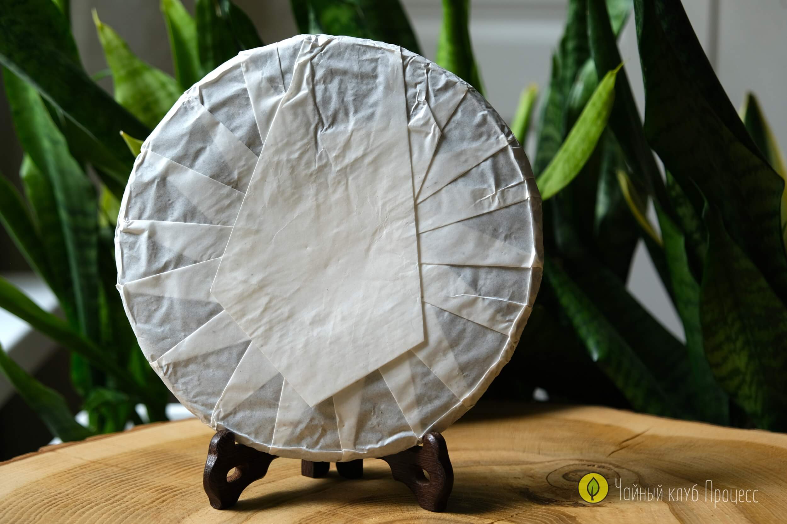 Шэн пуэр “Биндао Чунь Цзянь"