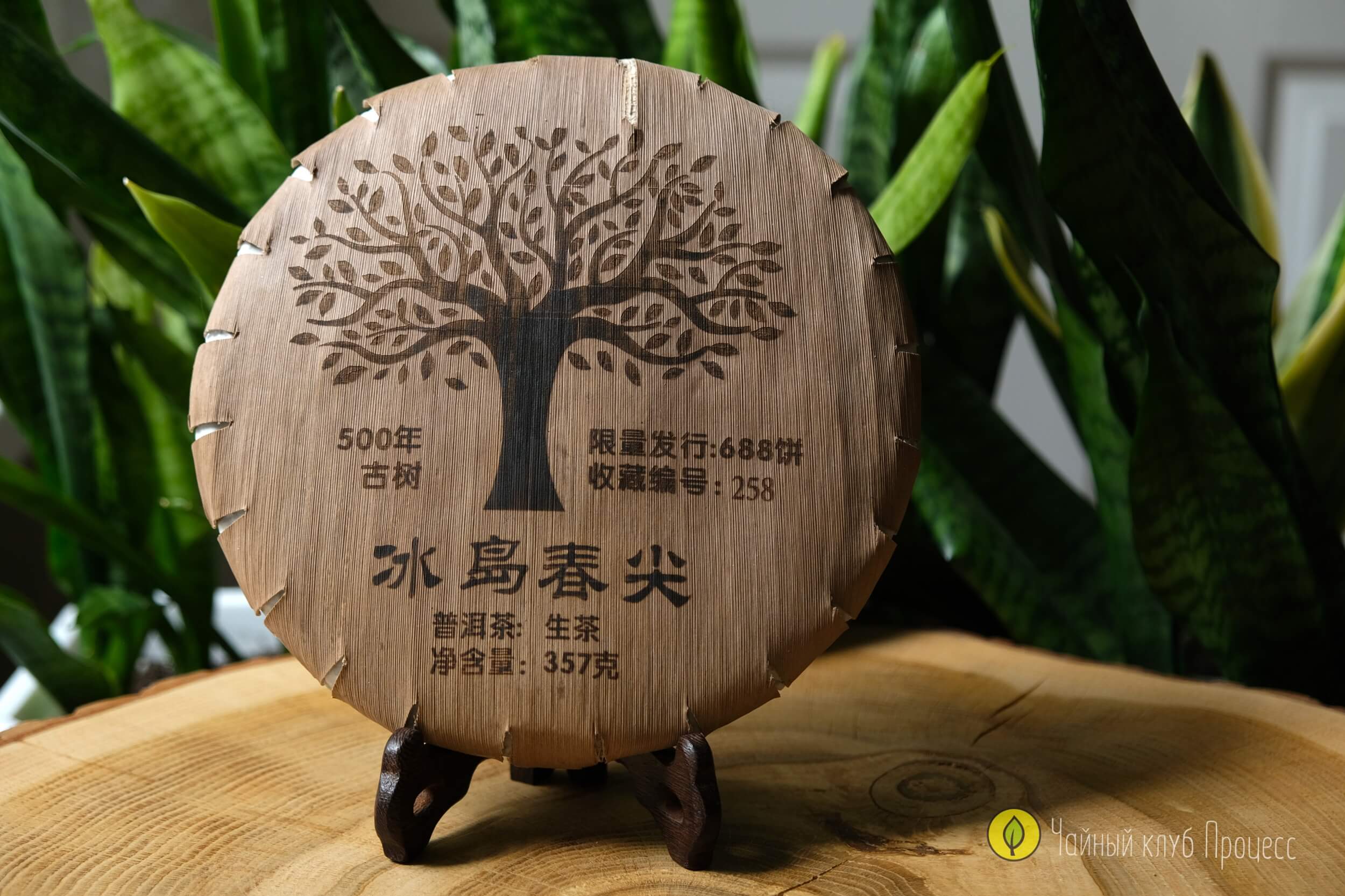 Шэн пуэр “Биндао Чунь Цзянь"