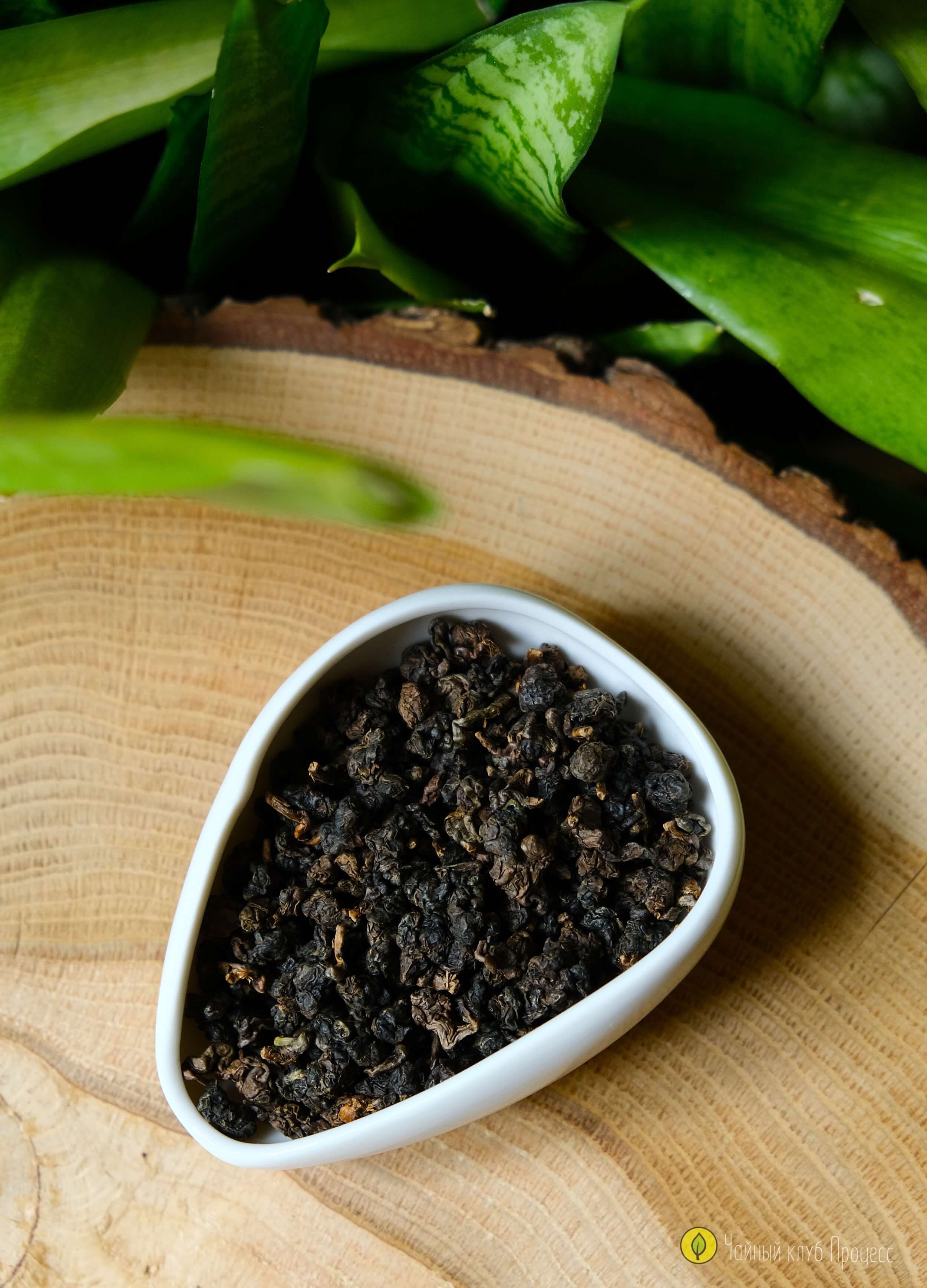 ГАБА "Вулканик"