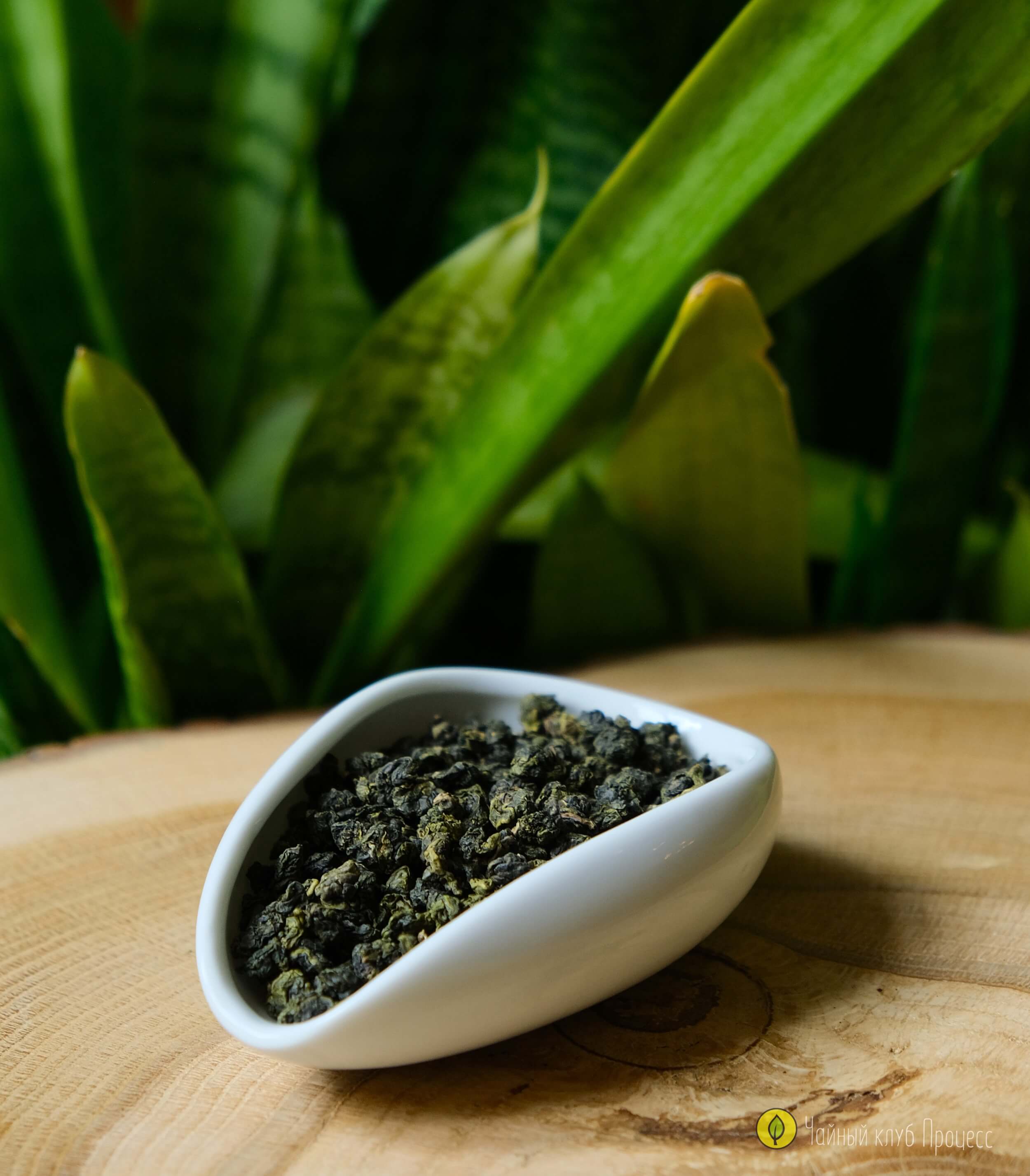 Сы Цзы Чунь "Весна Четырёх Сезонов" - тайваньский улун