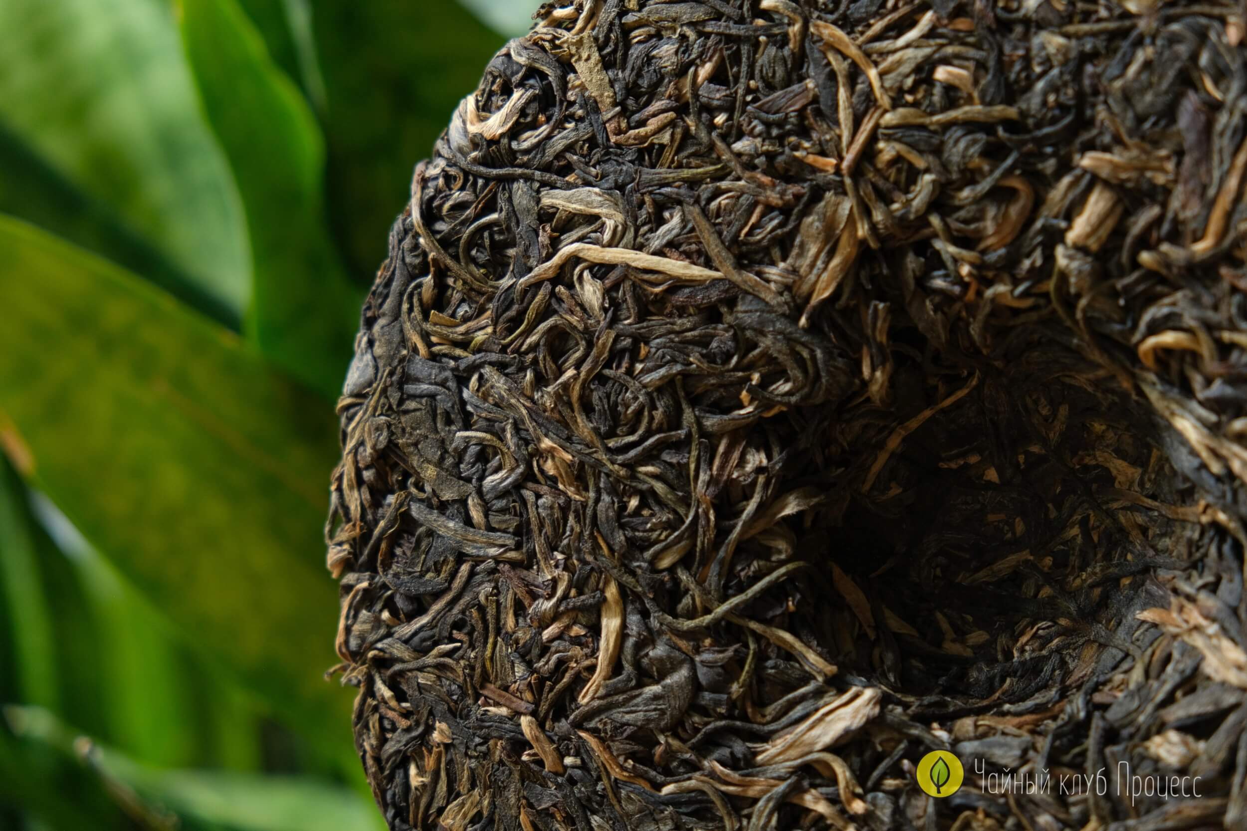 Шэн пуэр “Биндао Чунь Цзянь"