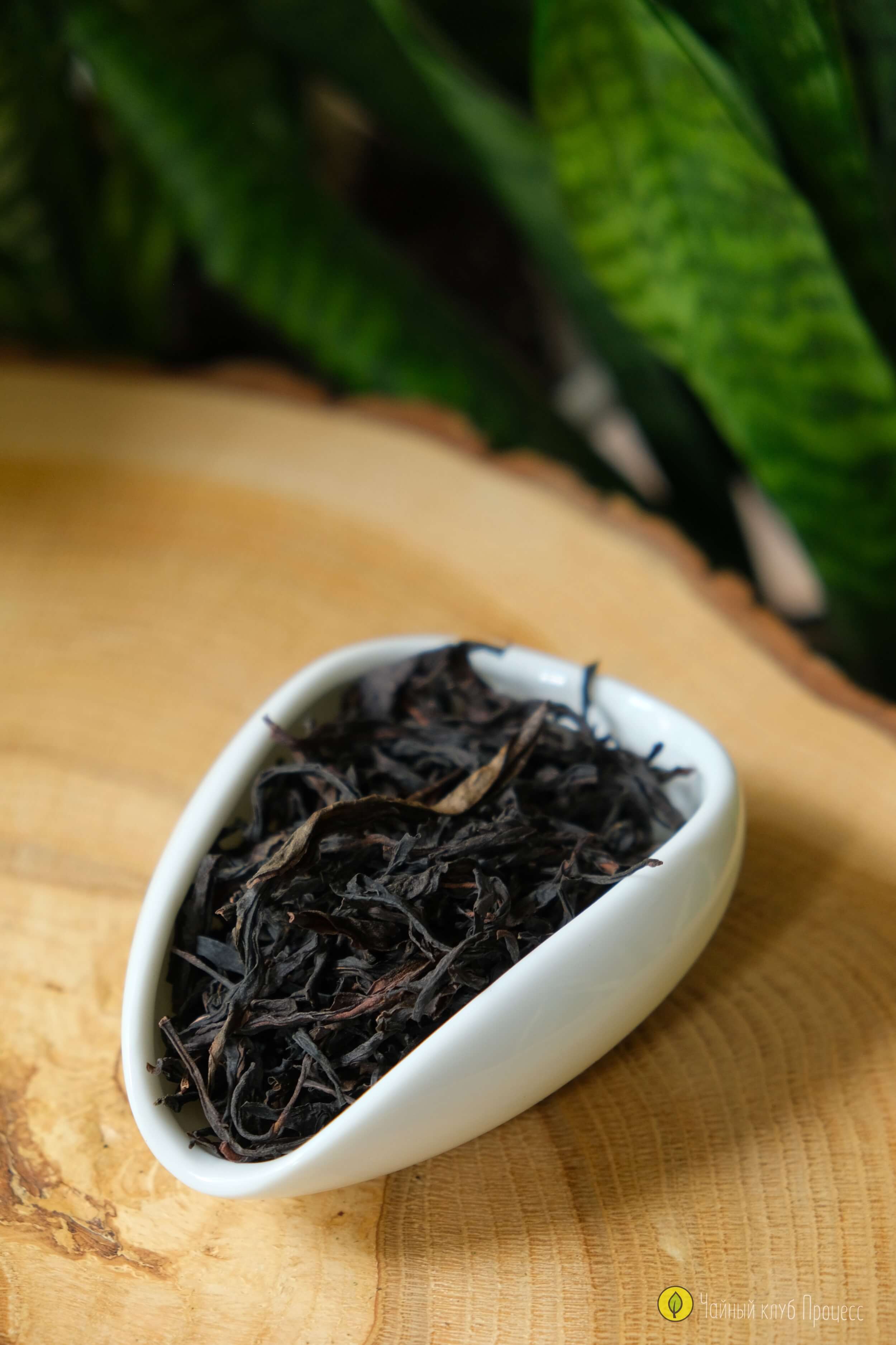 Ми Лань Сян Дань Цун (Одинокий Куст с Ароматом Медовой Орхидеи)