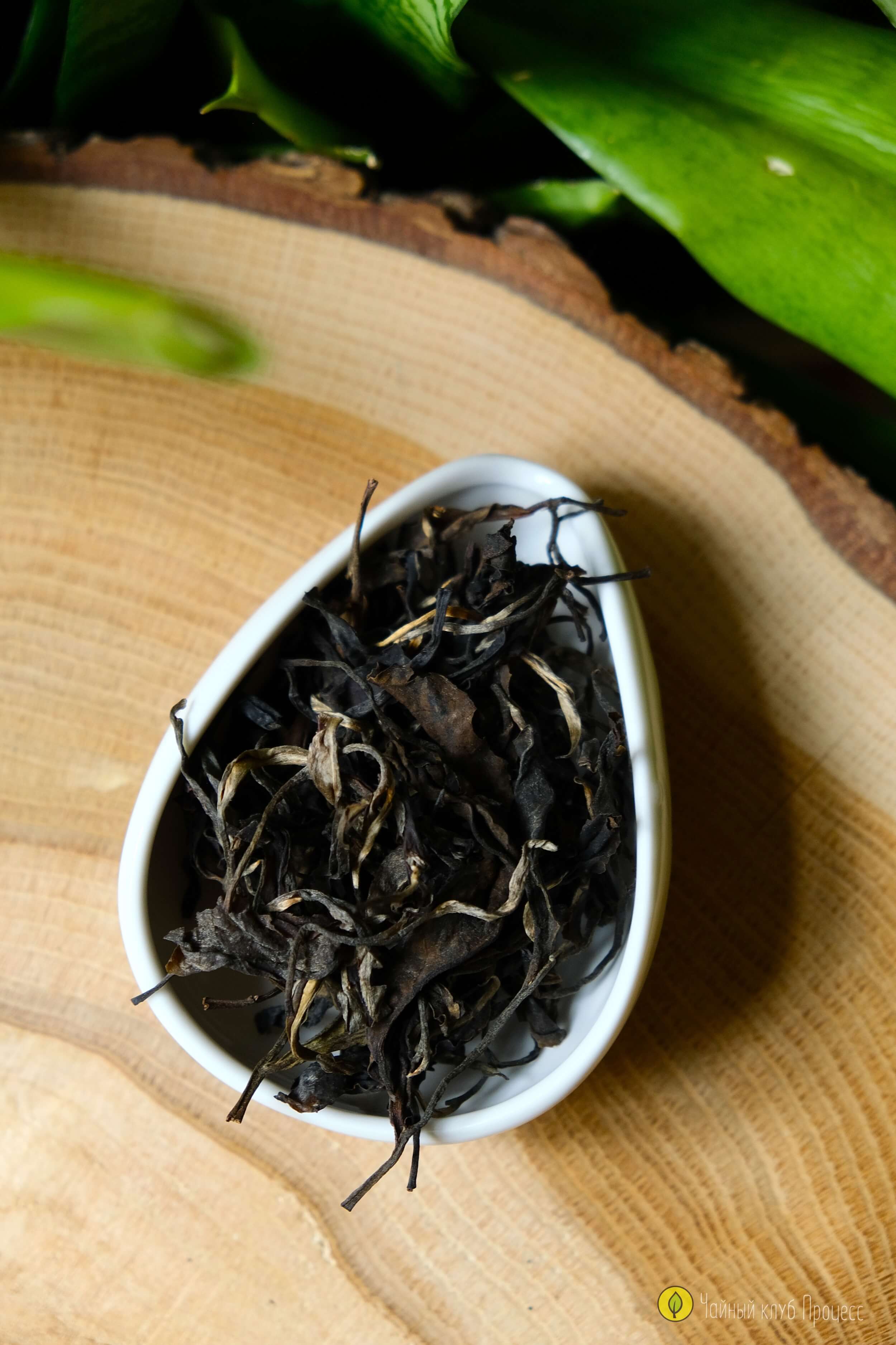 Габа улун «Восточная красавица» 