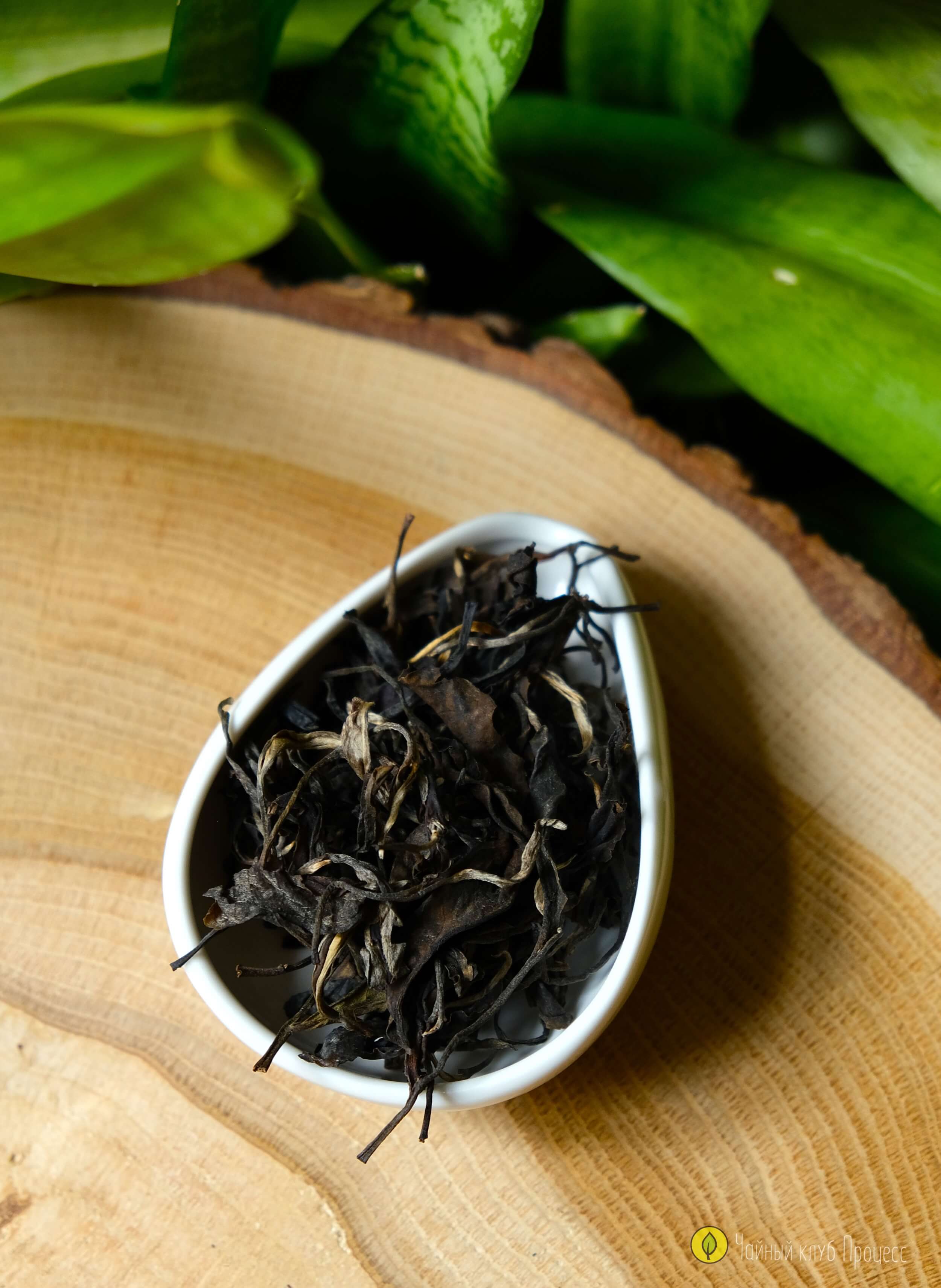 Габа улун «Восточная красавица» 