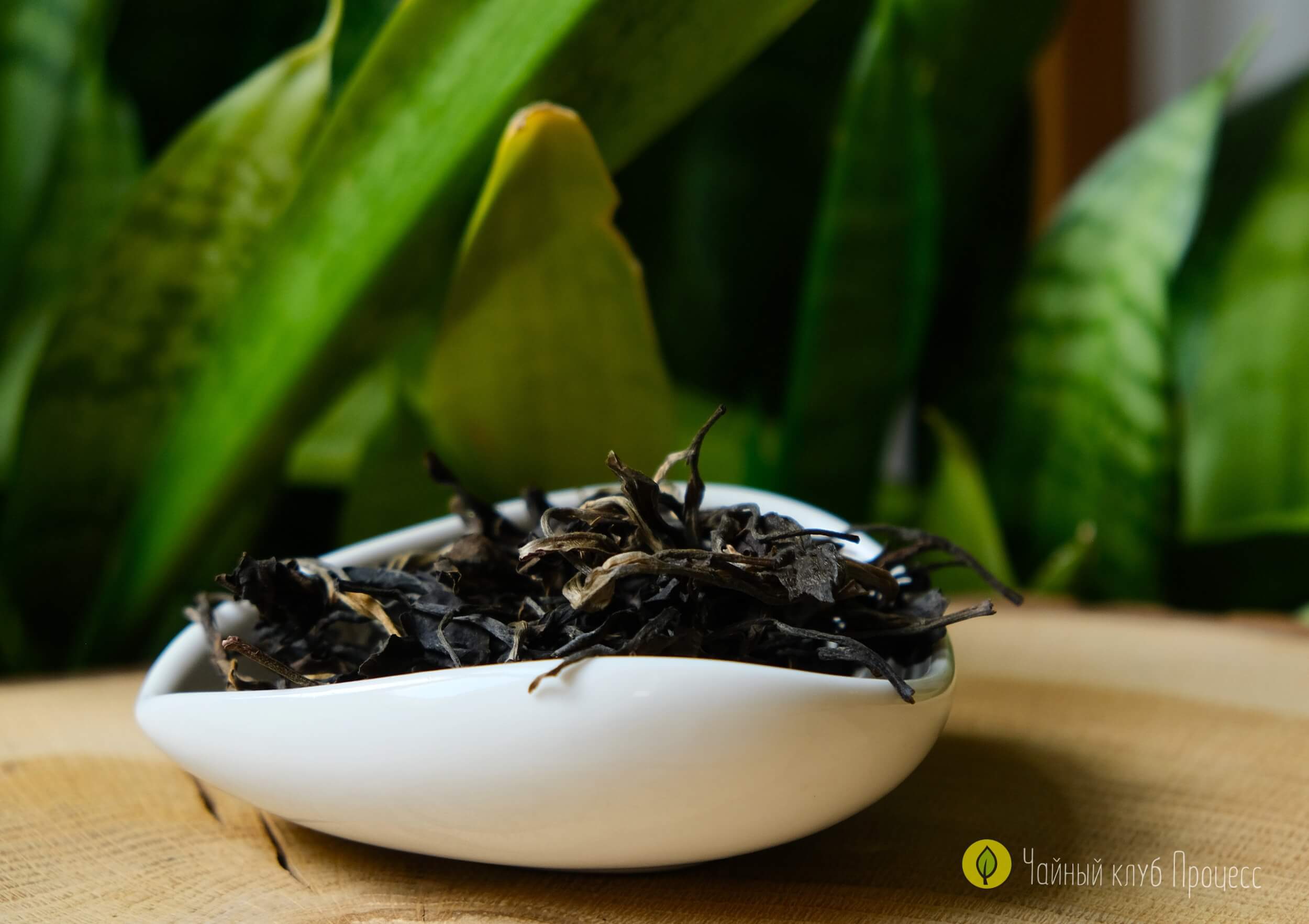 Габа улун «Восточная красавица» 