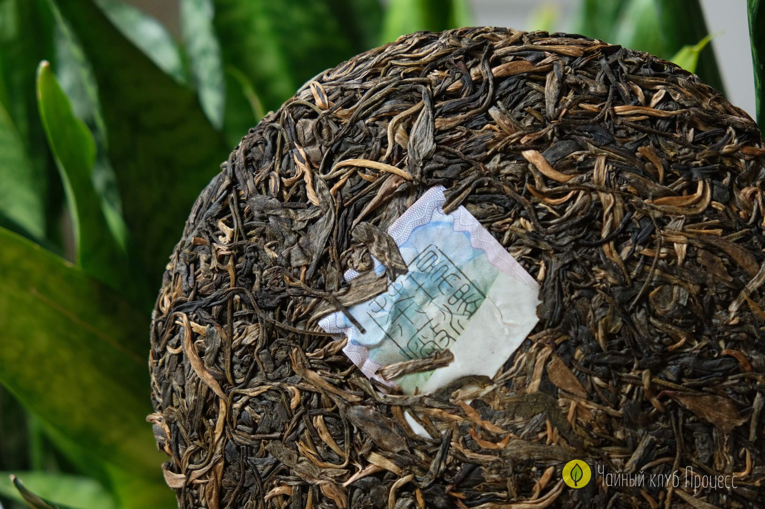 Шэн пуэр “Биндао Чунь Цзянь"