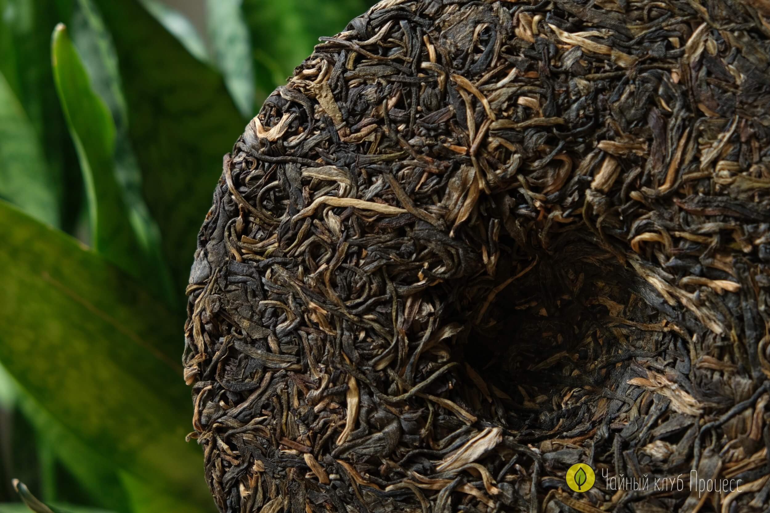 Шэн пуэр “Биндао Чунь Цзянь"