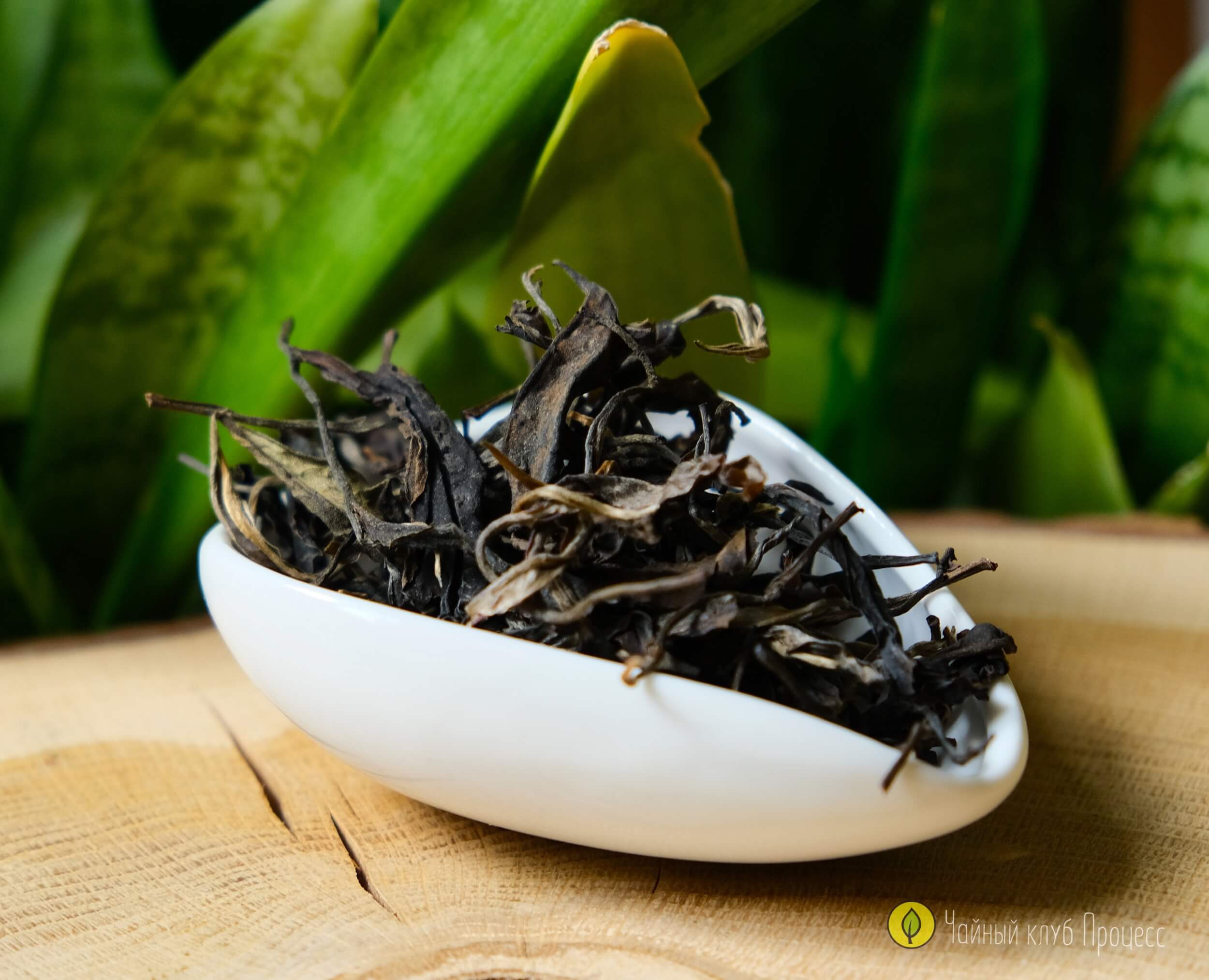 Габа улун «Восточная красавица» 