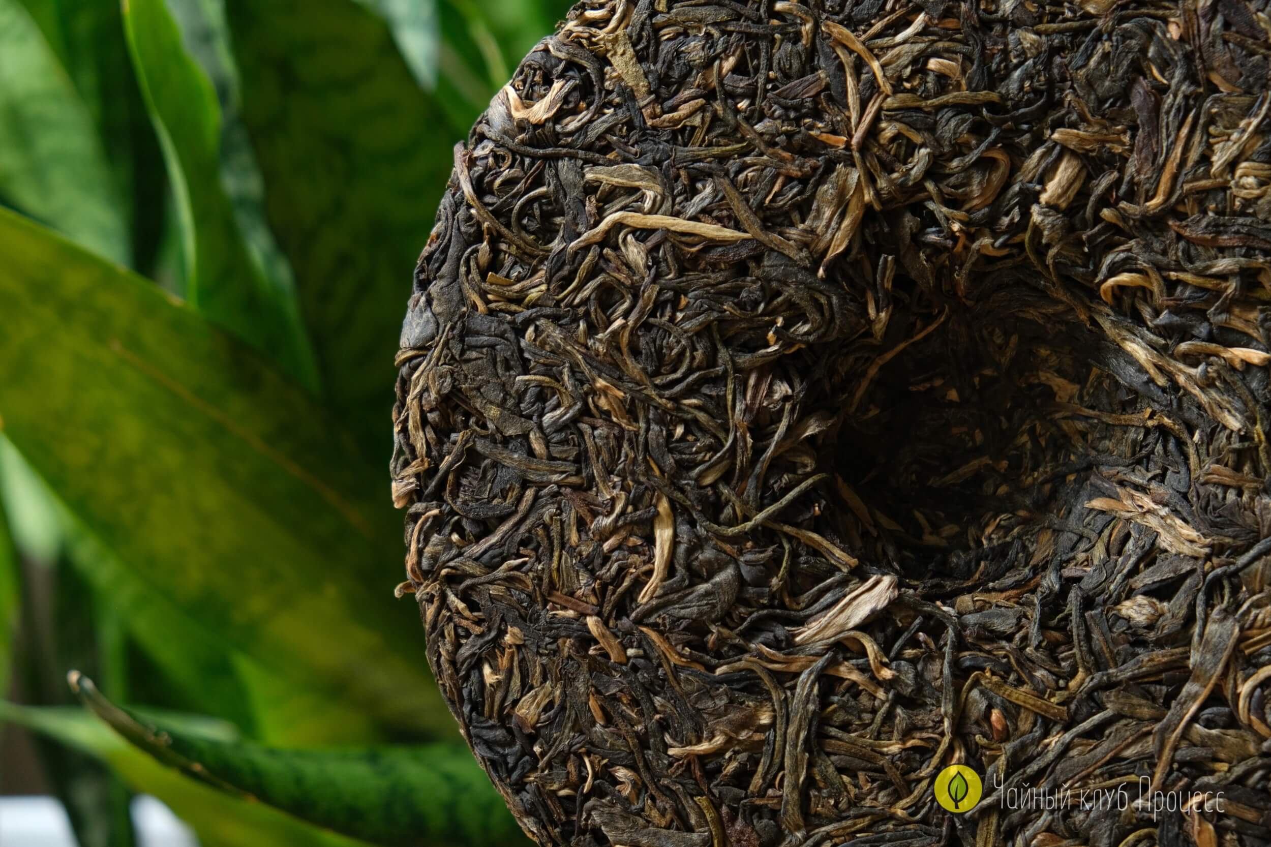 Шэн пуэр “Биндао Чунь Цзянь"