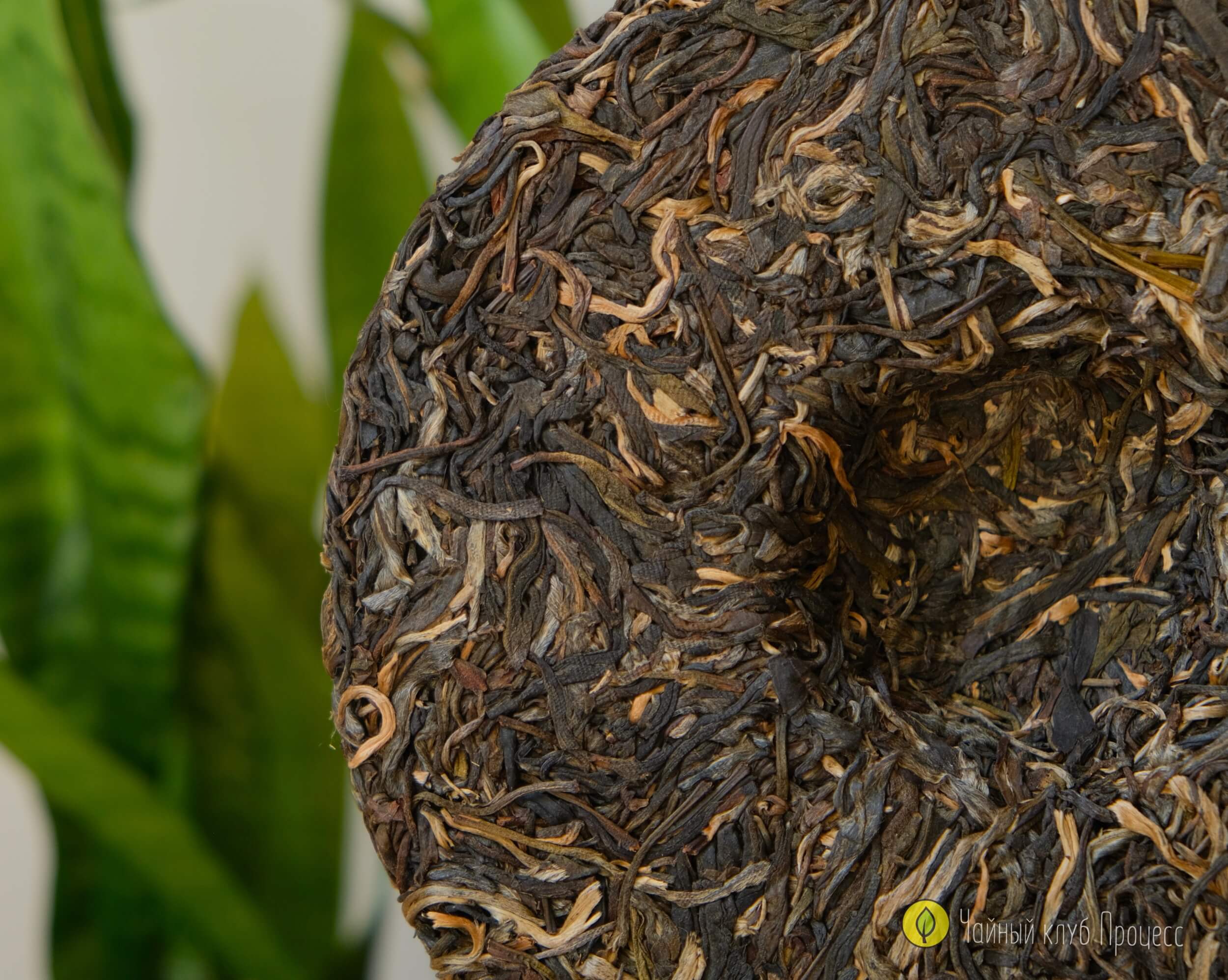 Шэн пуэр Лао Ман Э 2021 года