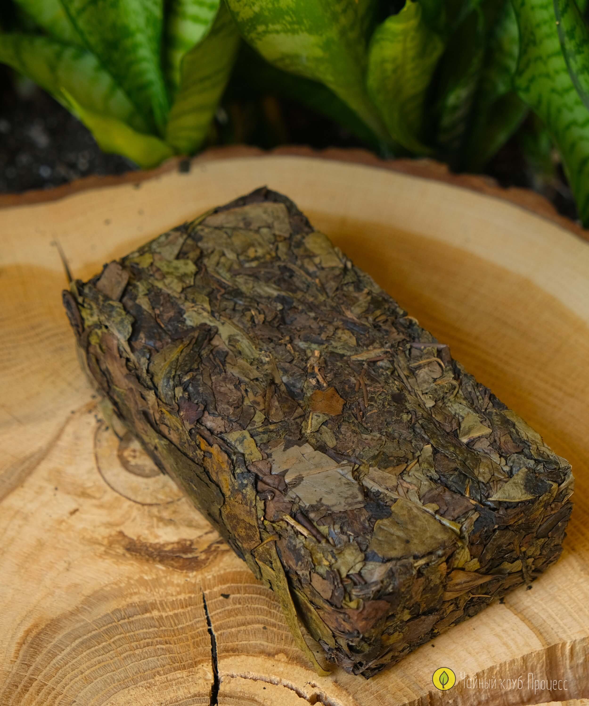 Хэй Ча «Цзинь Хуа» / Фу Ча с золотым цветком 2015 года