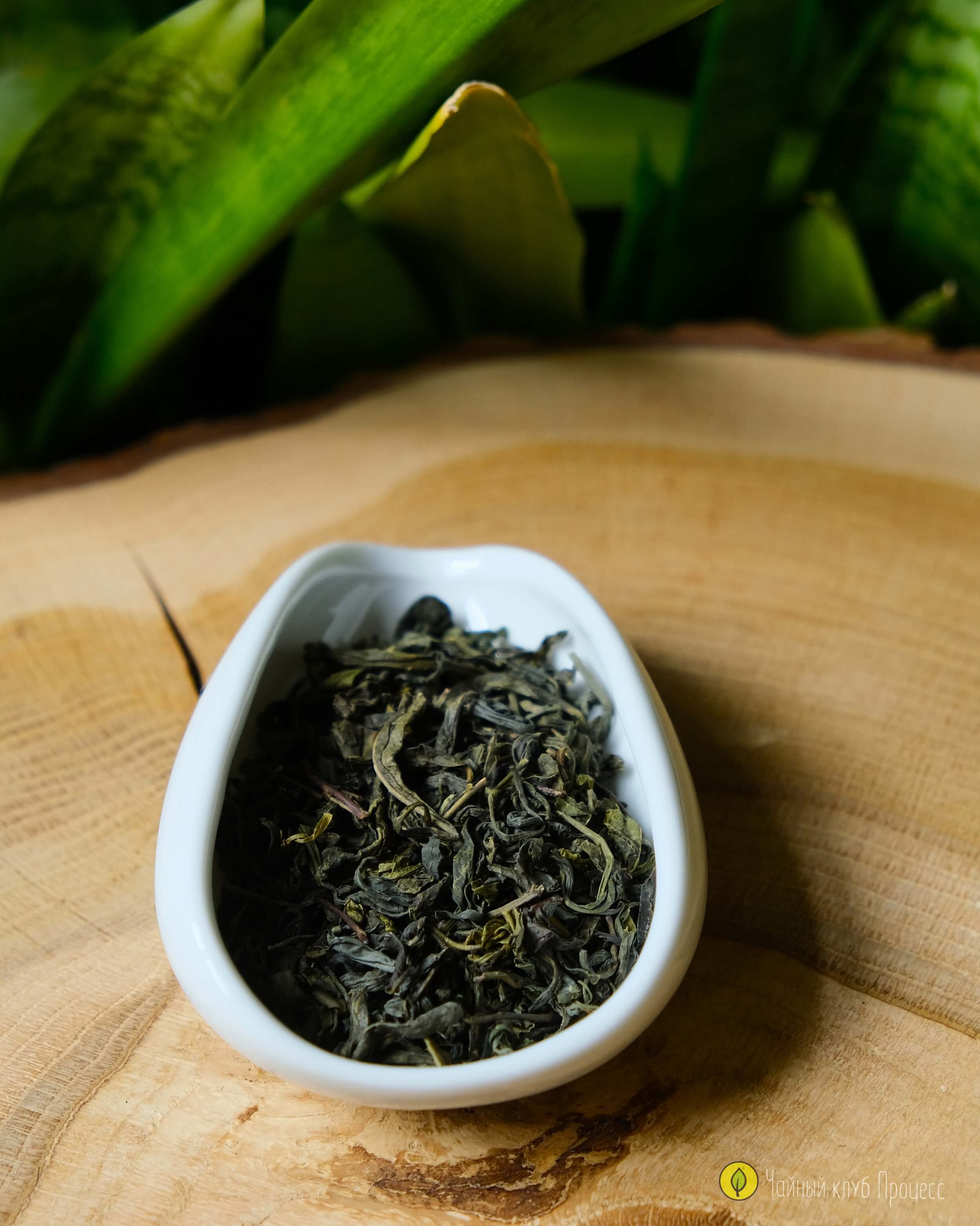 Чжэцзянь Е Шен Люй Ча