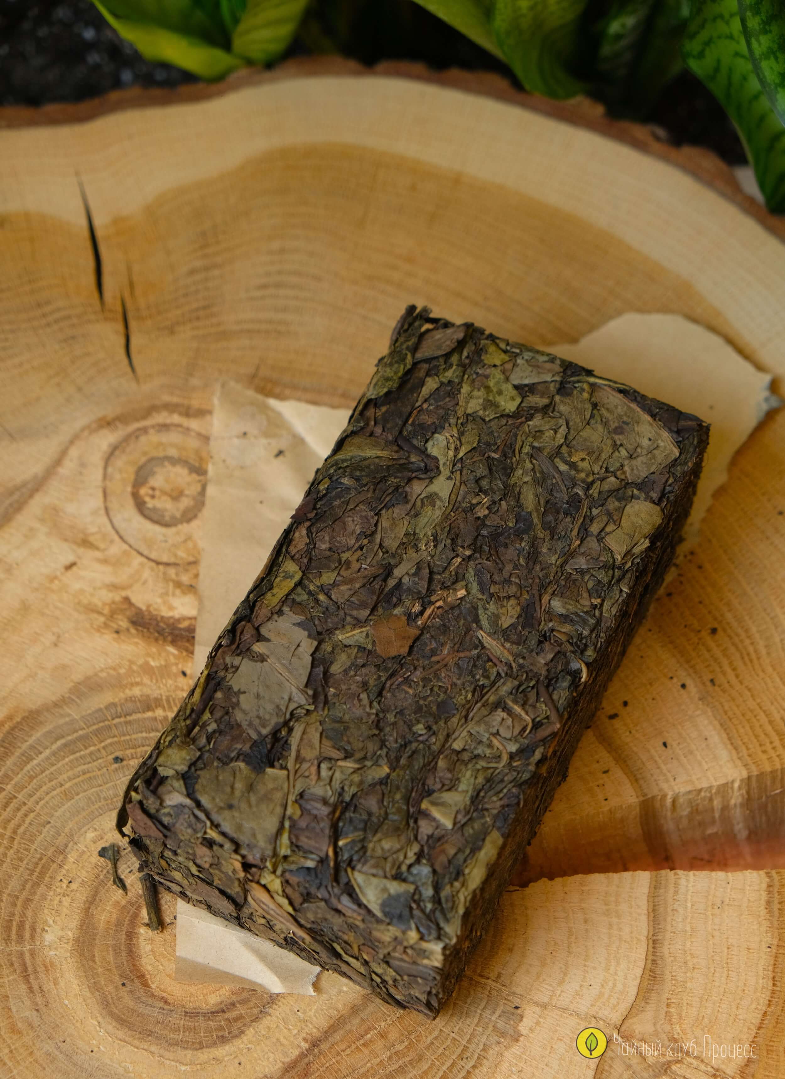 Хэй Ча «Цзинь Хуа» / Фу Ча с золотым цветком 2015 года