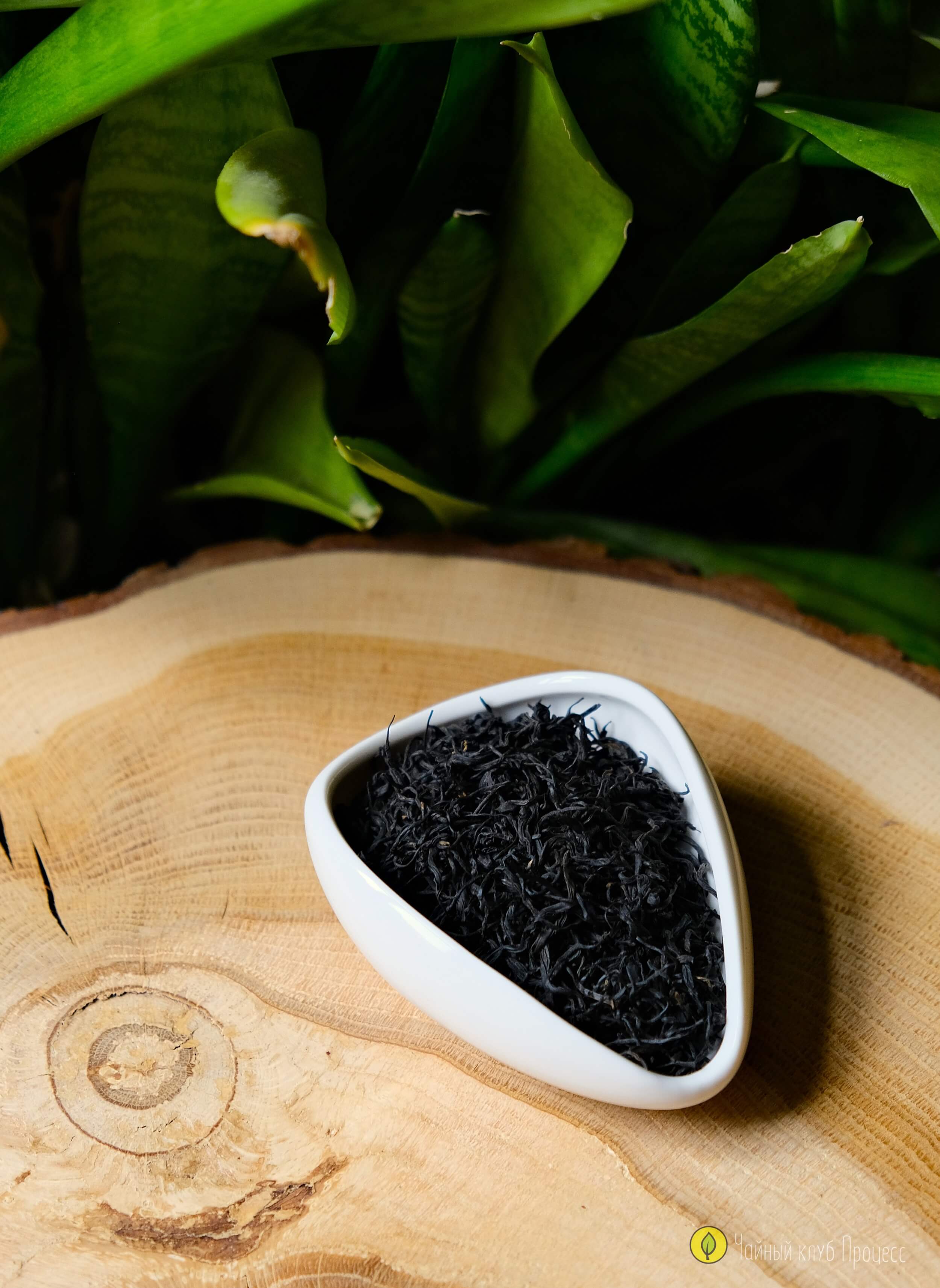 Чжень Шань Сяо Чжун Премиум - красный чай из Фуцзяни