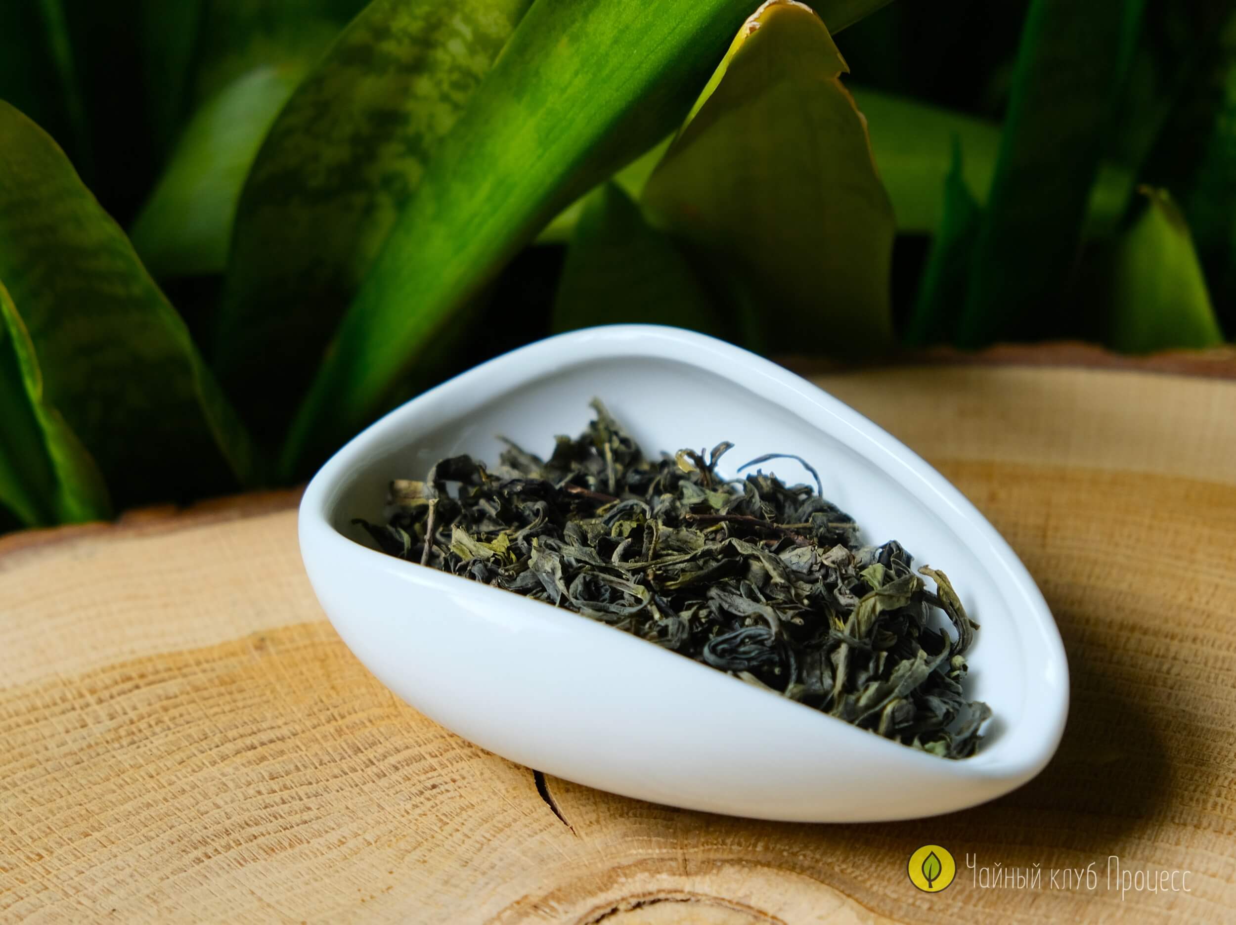 Чжэцзянь Е Шен Люй Ча