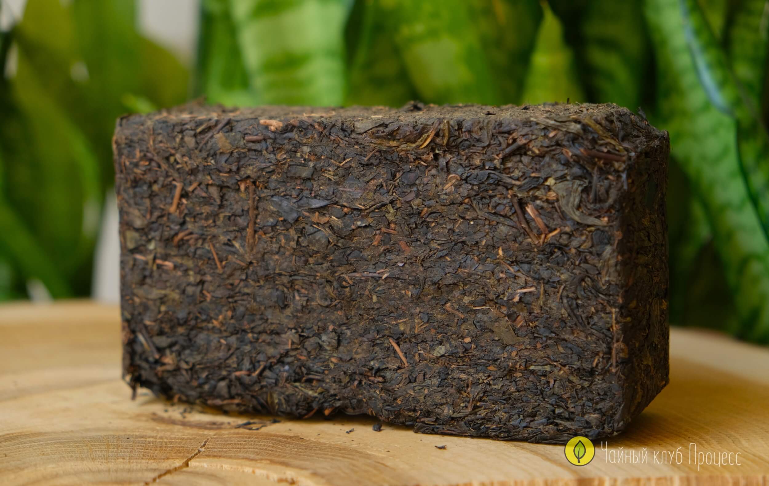 Хэй Ча «Цзинь Хуа Хуа Чжуань» 2015 года