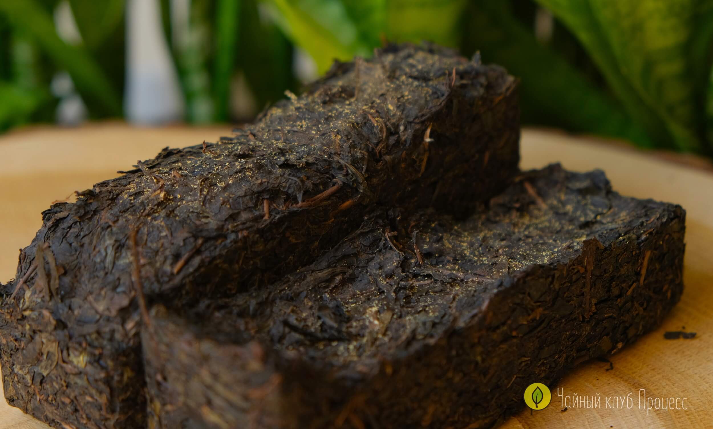 Хэй Ча «Цзинь Хуа Хуа Чжуань» 2015 года