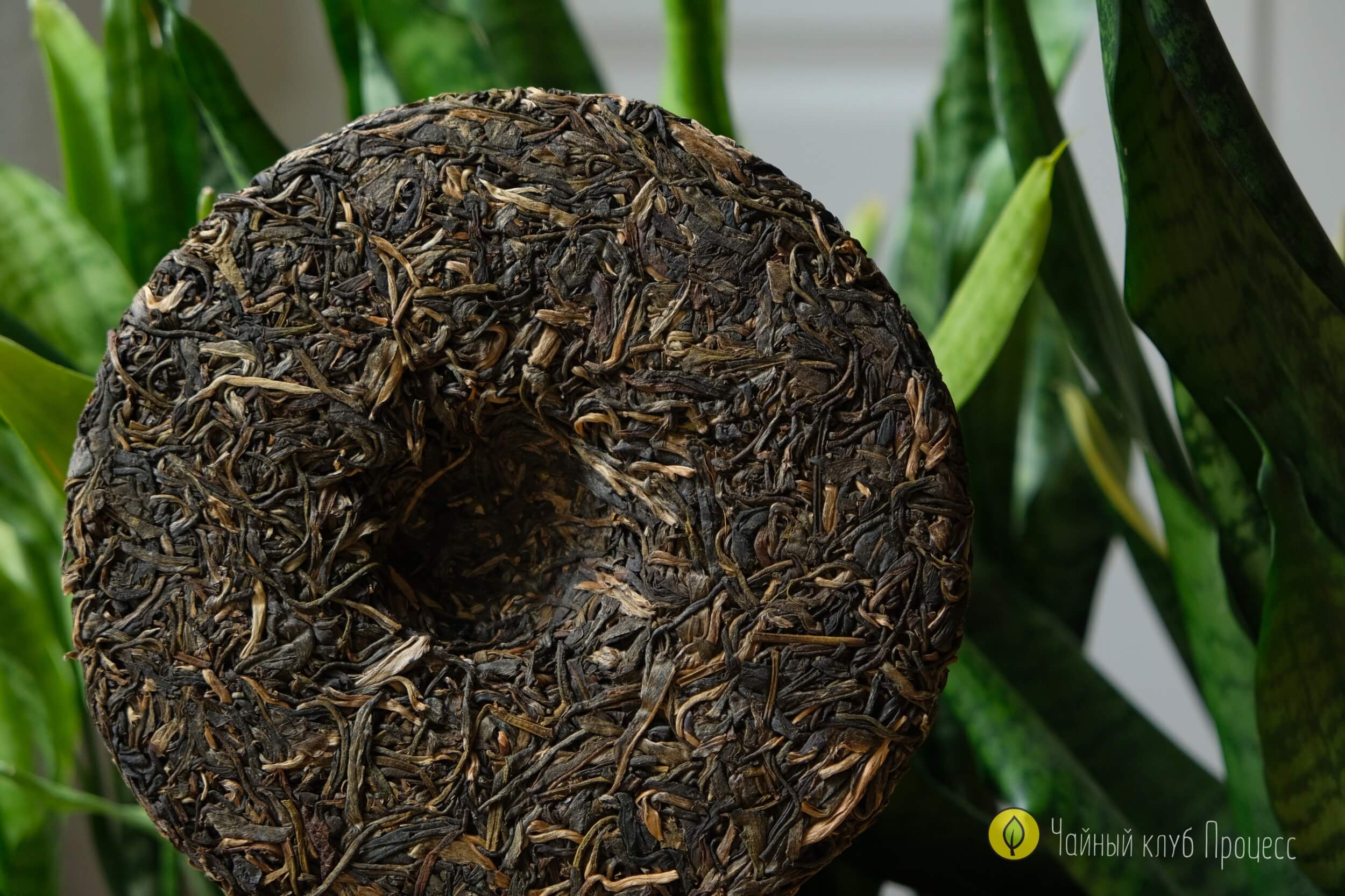 Шэн пуэр “Биндао Чунь Цзянь"