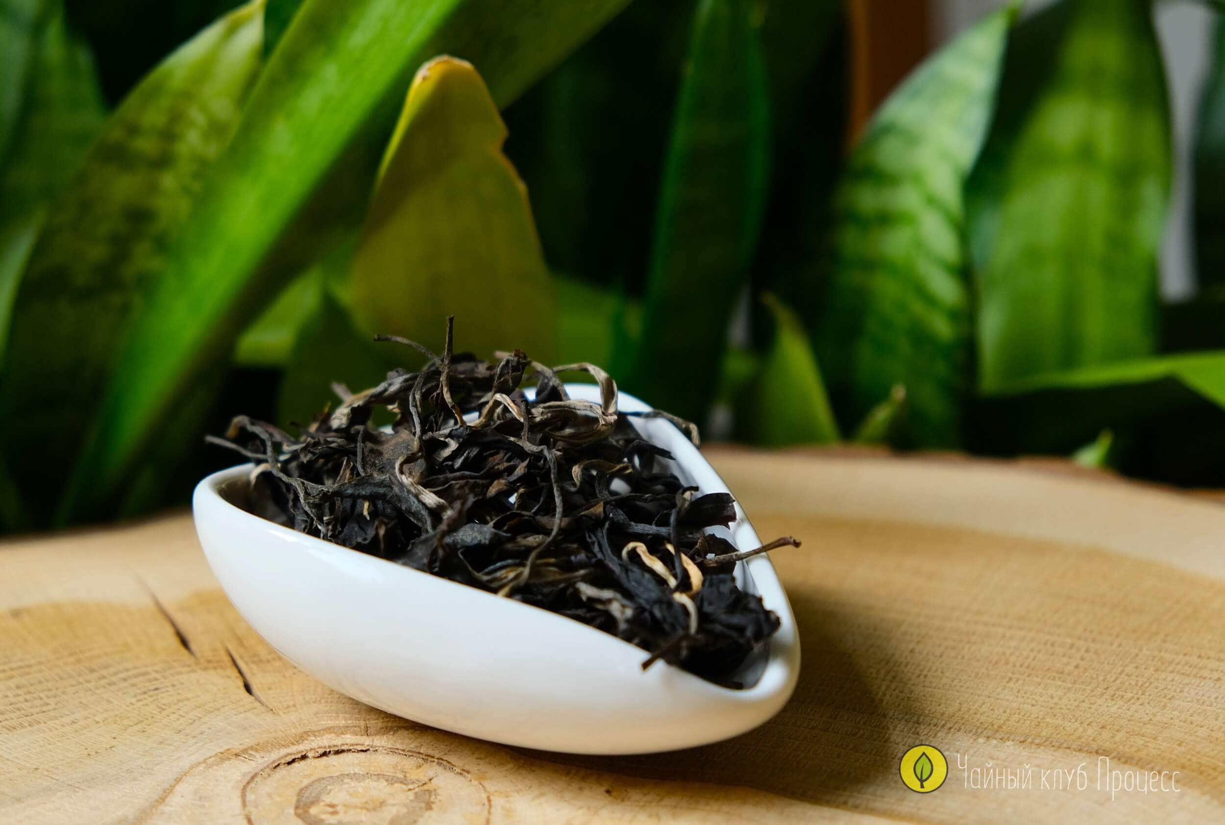 Габа улун «Восточная красавица» 