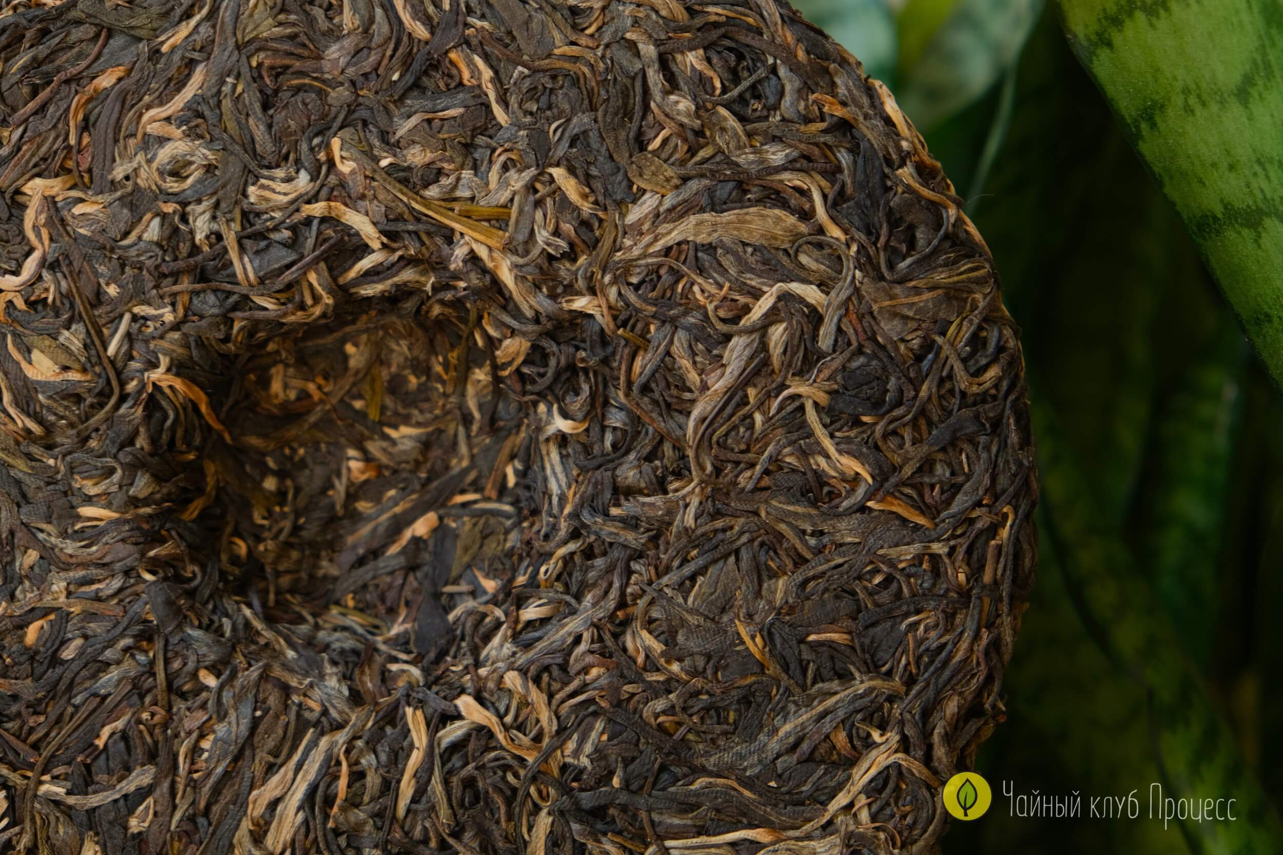 Шэн пуэр Лао Ман Э 2021 года