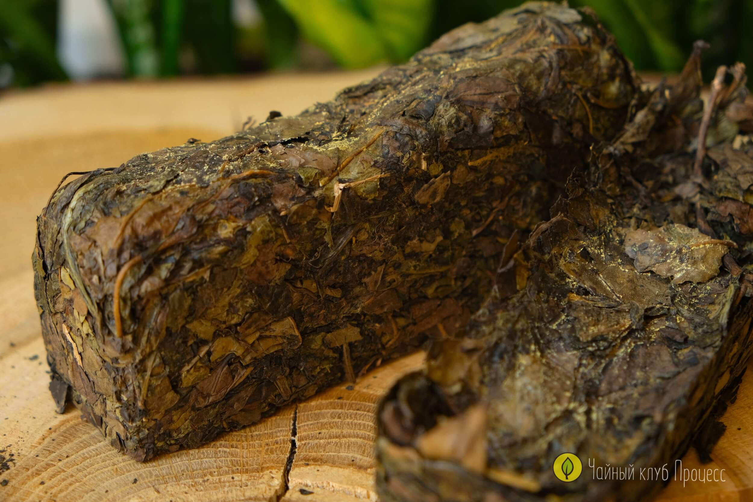 Хэй Ча «Цзинь Хуа» / Фу Ча с золотым цветком 2015 года