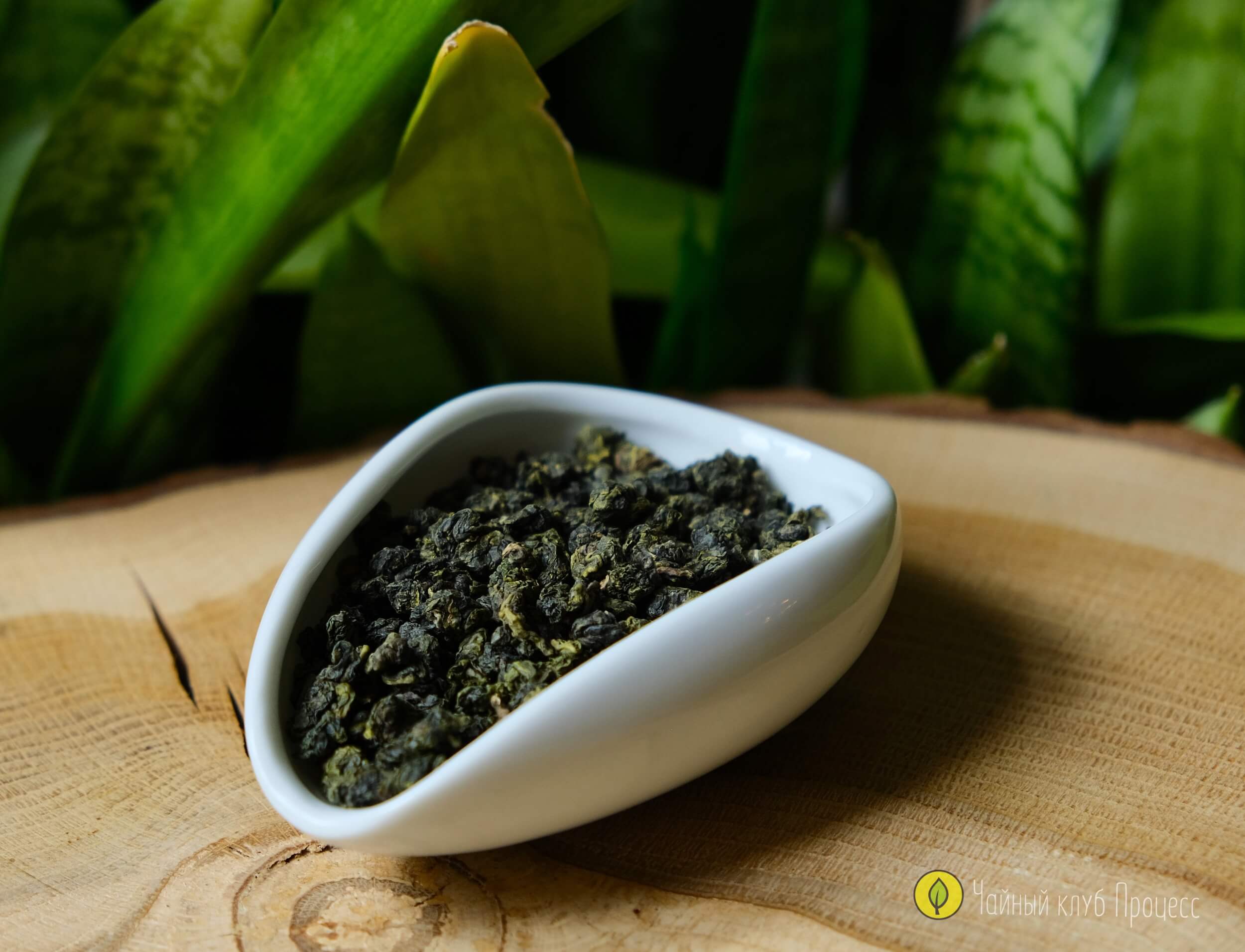 Сы Цзы Чунь "Весна Четырёх Сезонов" - тайваньский улун