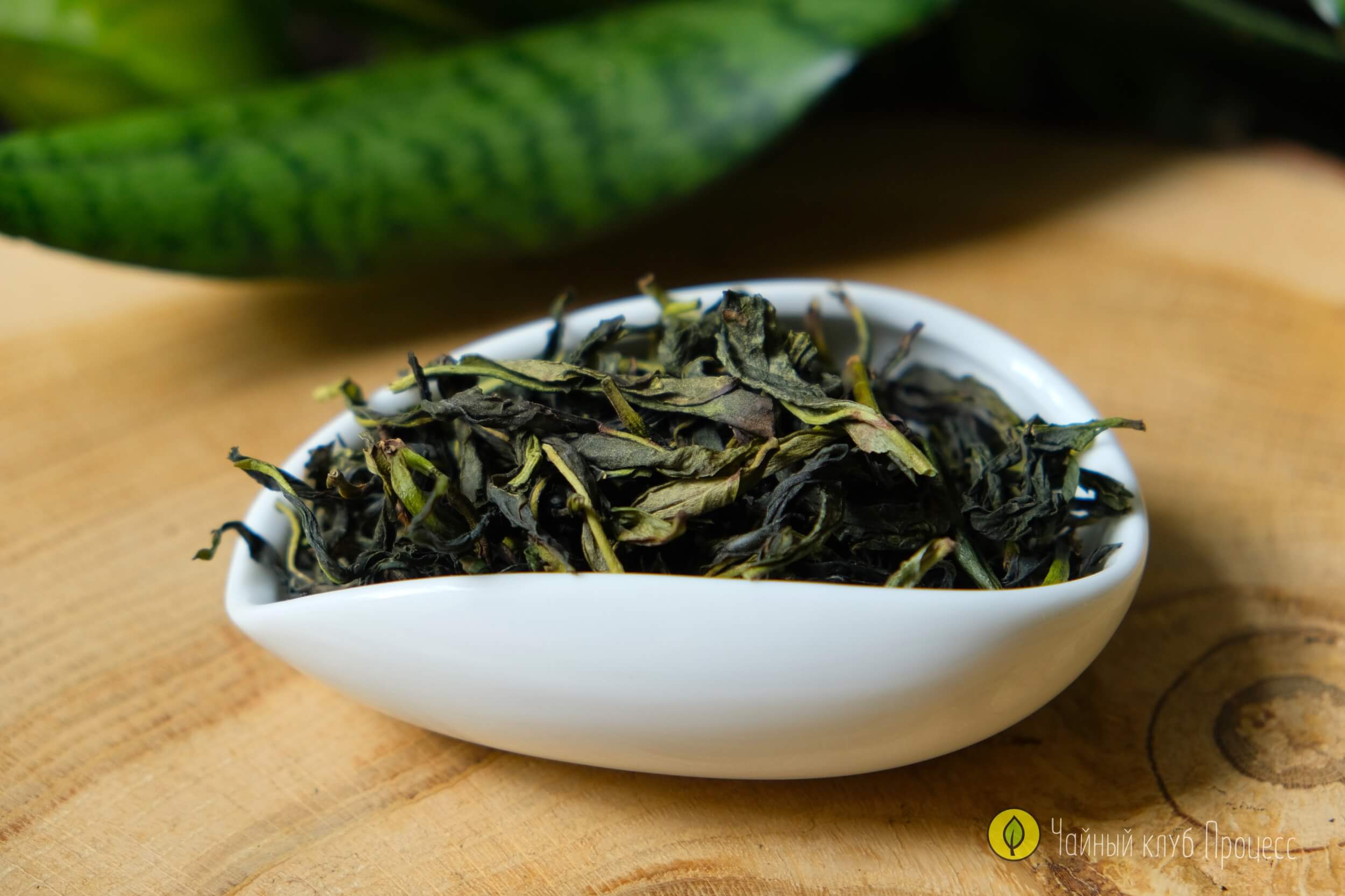 Я Ши Сян Дань Цун Цин Сян – светлый гуандунский улун