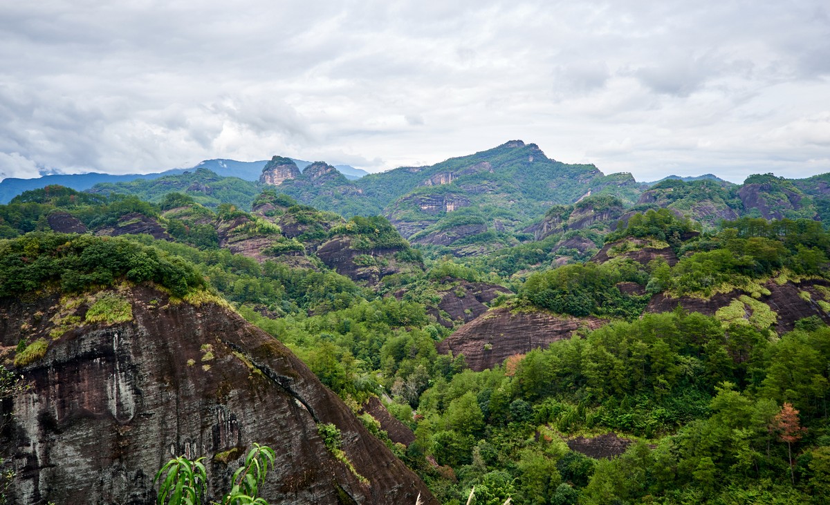 Горы Уишань, где рождаются утёсные улуны