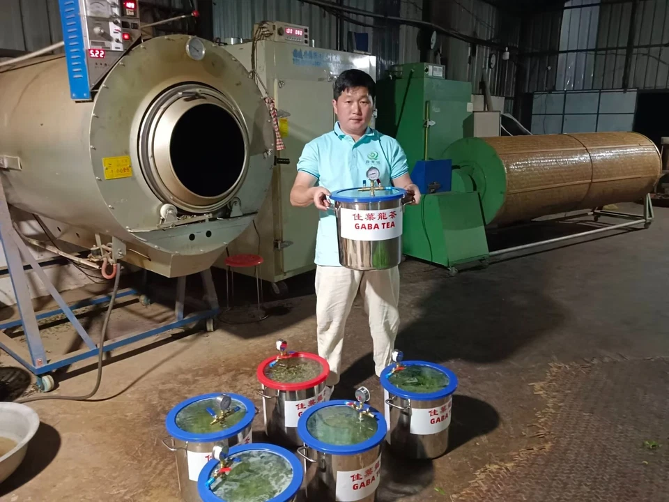 Производство габа-чая (GB13)